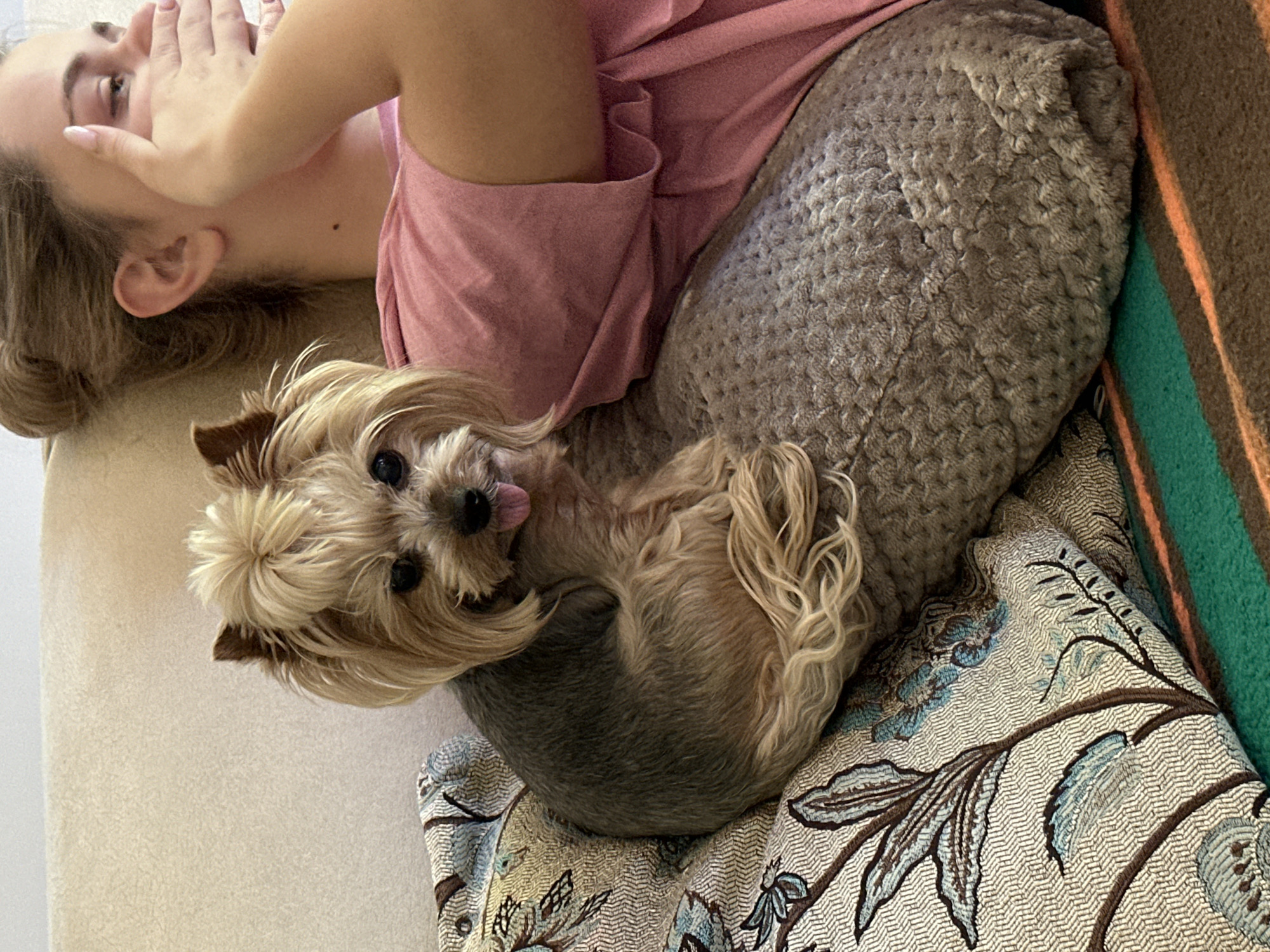 A light-skinned person lies on their side, hand near their face, wearing a pink top. Adjacent to them is a small, tan-colored dog with long hair and a protruding tongue. The dog is curled up on top of two pillows; one grey, the other with a floral pattern. A striped blanket rests at the edge of the image. The setting appears to be indoors, possibly a residential space. No evidence suggests the location of Lehchevo, Bulgaria, is relevant to the content of the image.