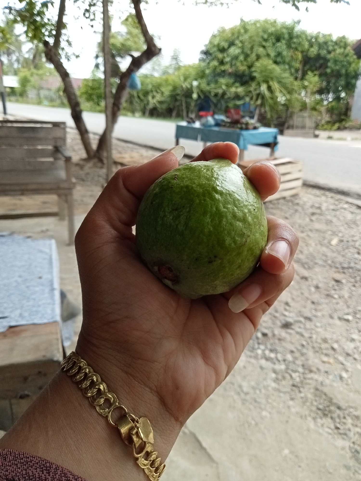 In Matangsijuek Timur, Indonesia, a hand holds a green guava. The hand, adorned with a gold bracelet, grips the round fruit against a blurred outdoor backdrop. Trees and a street are visible, suggesting a rural or semi-urban setting. The lighting is natural and overcast.