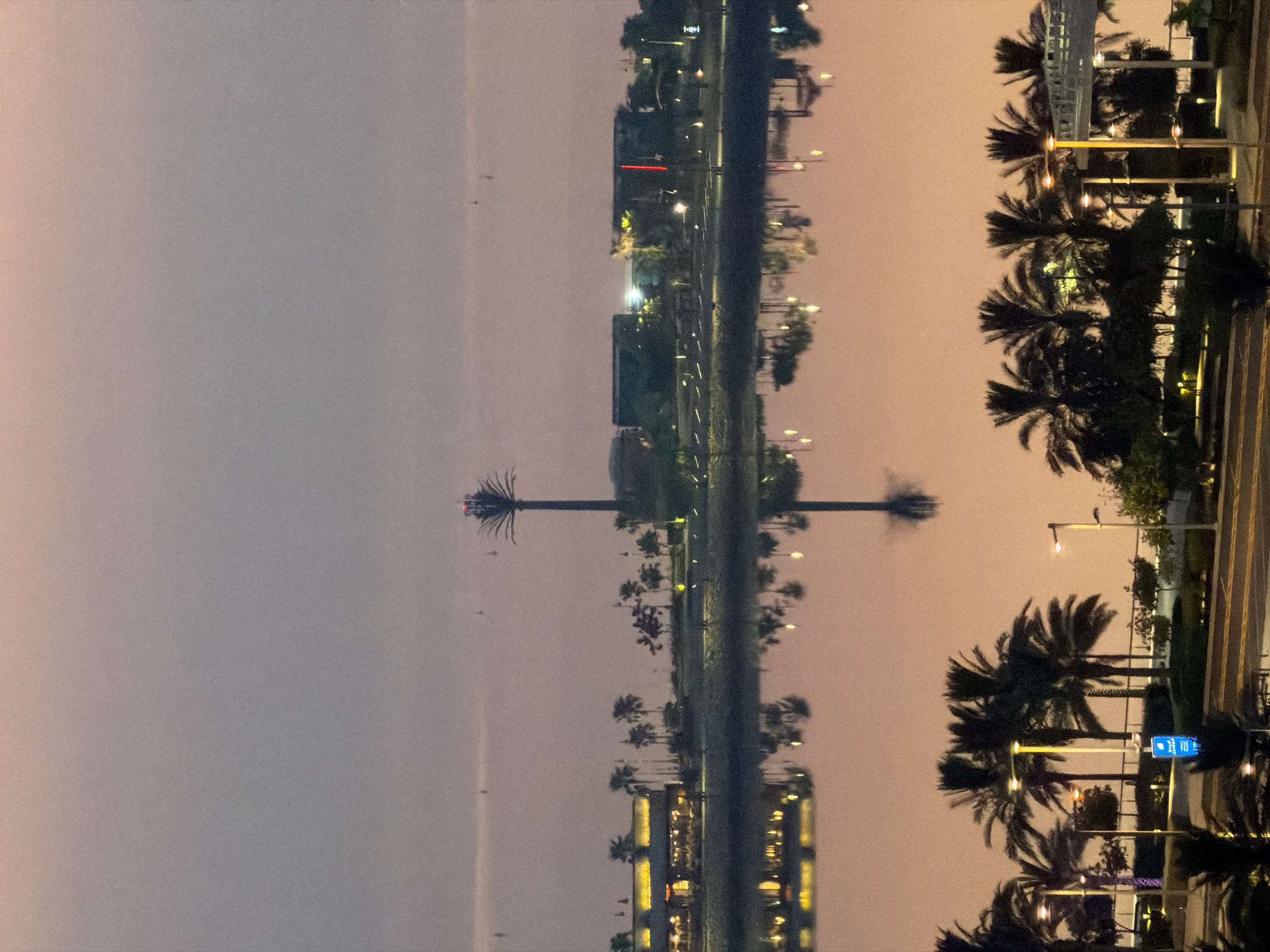 The image shows a body of water reflecting palm trees, buildings, and streetlights. The scene appears to be a park or waterfront area at dusk or dawn. On the far side of the water, there are several buildings, some with illuminated windows, and a prominent tall structure resembling a palm tree with antennae. The foreground features more palm trees, streetlights, and a roadway. The sky is a soft gradient of pink and gray. There are no visible people in the image.