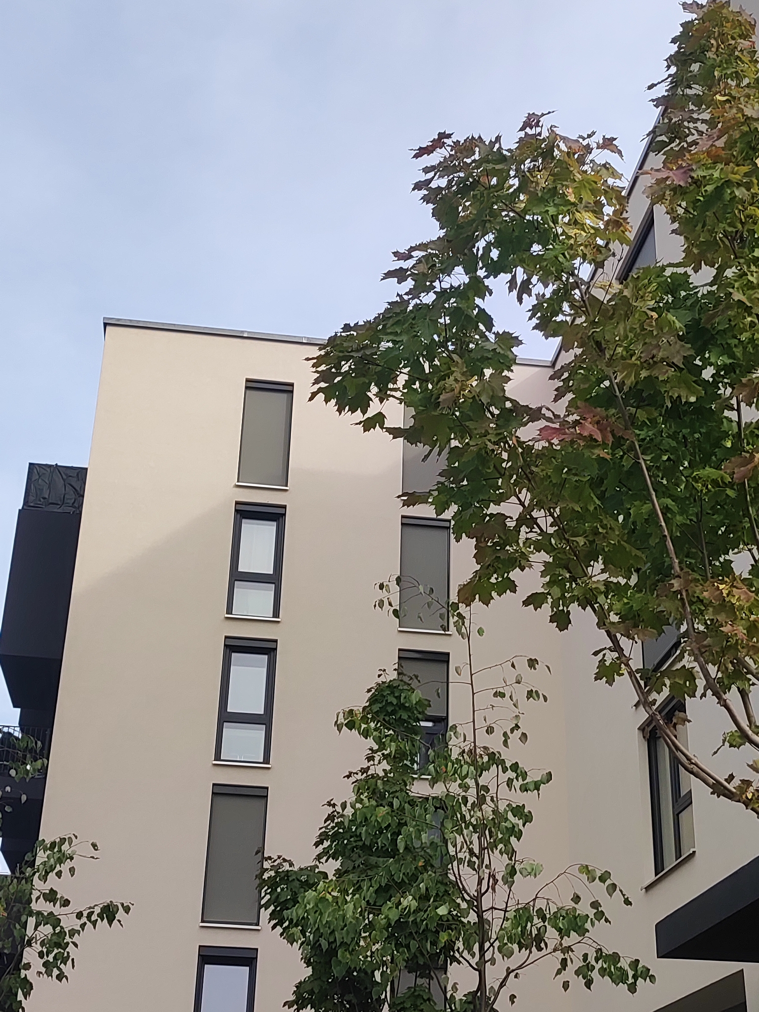 This is a low-angle, outdoor, medium shot of a modern, light-colored apartment building with several dark-framed windows. The building has a clean, minimalist design, with some architectural overhangs on the left side. In the foreground, on the right and center, are parts of trees with green and reddish-brown leaves, suggesting it might be autumn. The sky is overcast and a pale blue. The image appears to have been taken in Fürth, Germany, due to the architectural style common in German cities. There are no people visible in the scene.
