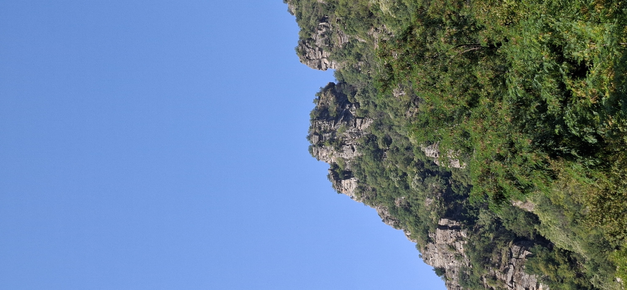 The image depicts a mountainous landscape with rocky outcrops and dense green vegetation under a clear blue sky. The foreground is dominated by the lush foliage of trees, partially obscuring the lower slopes of the mountains. As the eye moves upwards, the rugged, stratified rock formations of the mountains become more prominent, interspersed with trees and shrubs growing from crevices. The sky is a uniform, bright blue, suggesting a sunny day. The scene appears to be a natural, undeveloped area, consistent with a mountainous region.