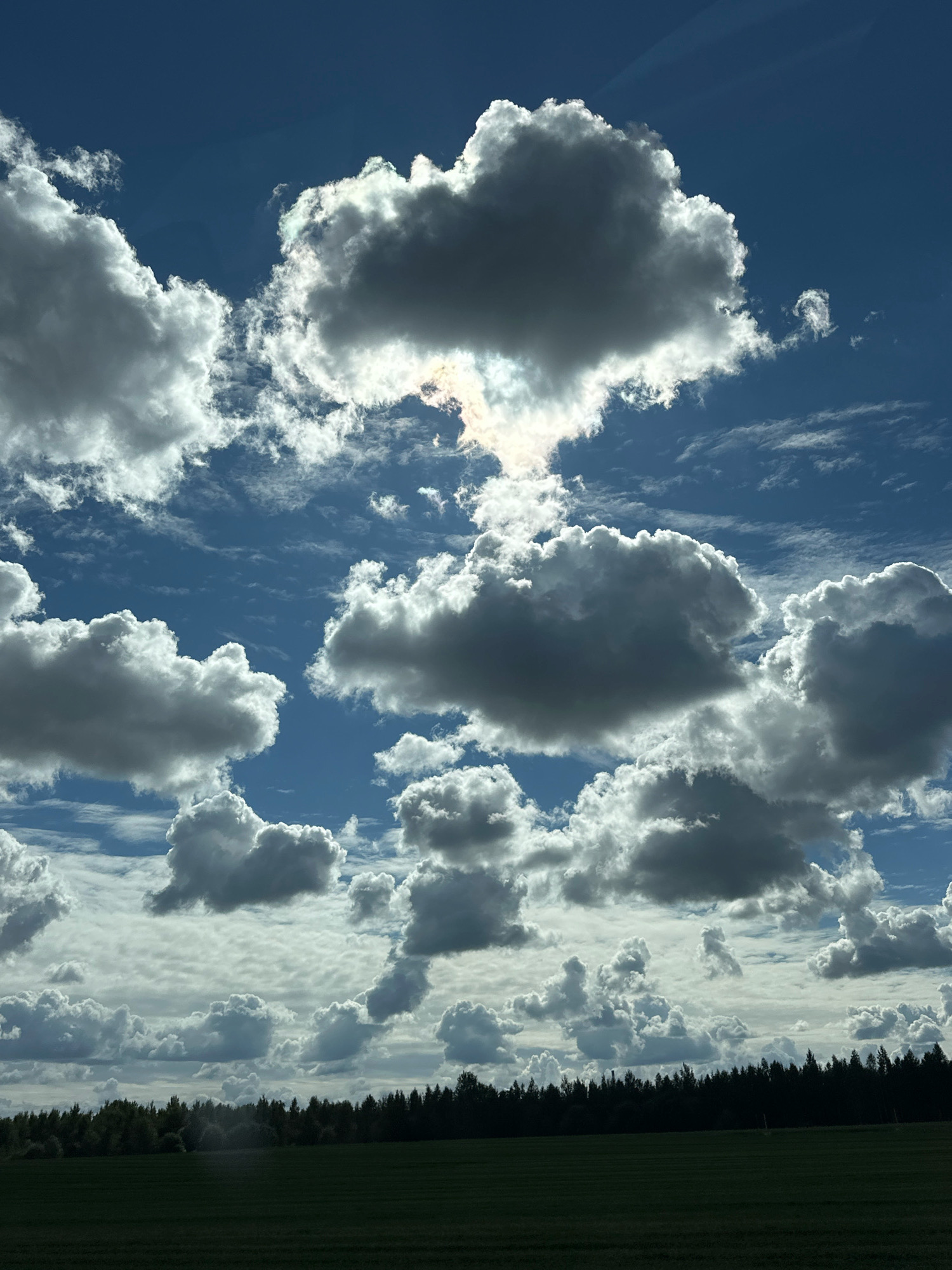 A wide, low-angle shot captures a dynamic sky over a dark, silhouetted forest and green field, located in Дукорскі сельскі Савет, Belarus. The sky is a deep blue, populated by numerous clouds. Large, cumulus clouds with bright white undersides and dark gray tops dominate the upper and middle portions of the frame, suggesting varied light penetration. A bright, hazy patch of sunlight breaks through the clouds in the upper center, illuminating some of the cloud edges with a soft glow and creating streaks of light. Smaller, wispy clouds are scattered throughout the sky. The horizon line is low in the frame, separating the sky from the land. A dense, dark green line of trees forms a sharp silhouette against the lighter tones of the sky. Below the forest is a flat, dark green field, likely agricultural, which takes up the lower portion of the image. There are no people or overt human activity visible in the scene. The overall impression is one of a natural landscape under a partly cloudy sky.