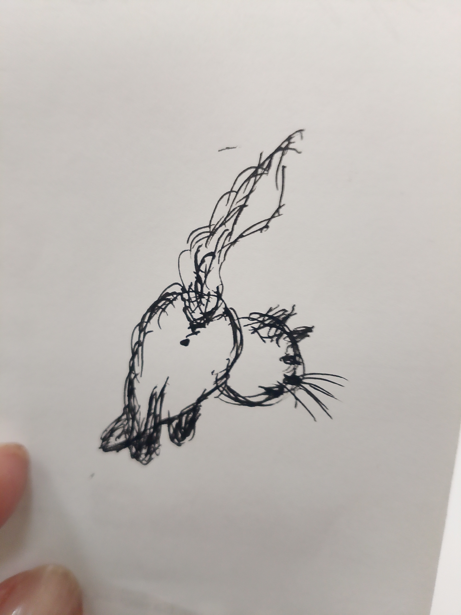 A black ink sketch on white paper depicts two figures, possibly animals. The larger figure is on the left, with an elongated head and what appears to be a tail extending upward. The smaller figure on the right has whiskers.
