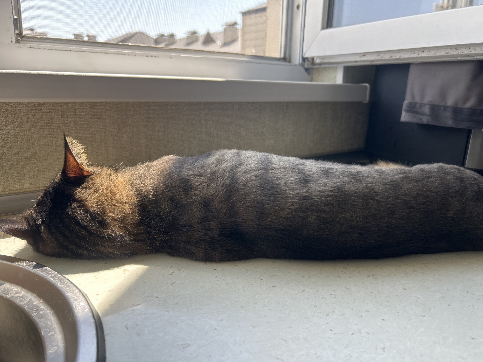 A tabby cat is lying on its stomach on a light-colored windowsill, facing left with its head resting on the sill. The cat's fur is a mix of brown, black, and ginger stripes. Sunlight streams in from the right, casting a shadow across the cat's body and the sill. In the background, out of focus, a window shows a bright sky and rooftops of buildings. To the left of the cat, partially visible, is a gray, circular object, possibly a bowl or planter. The overall scene suggests a relaxed and peaceful moment for the cat, enjoying the warmth of the sun. The location is stated to be in Khyrdalan, Azerbaijan.