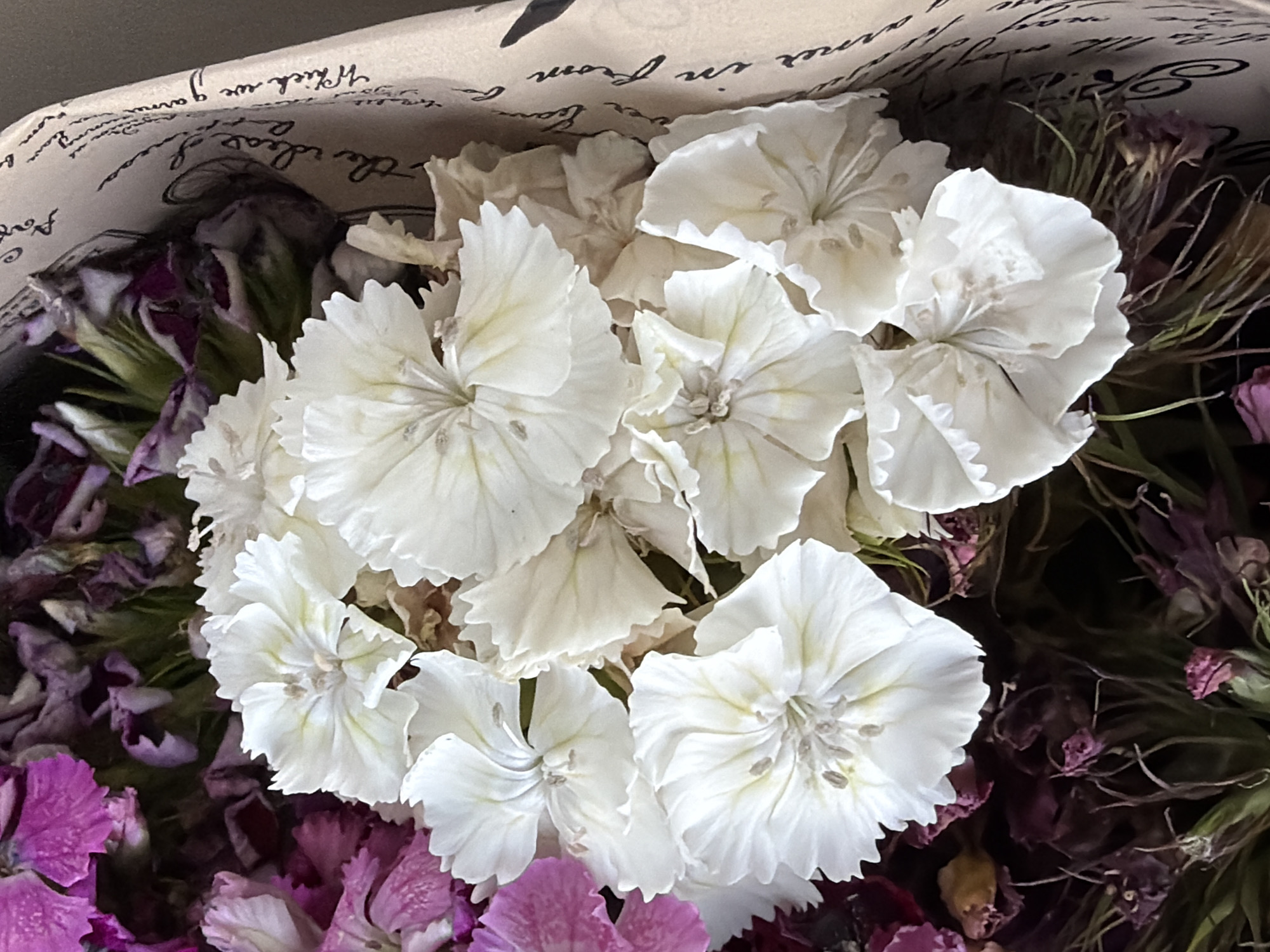 A close-up, overhead shot captures a bouquet of white and pink flowers, some of which appear dried or wilting. The bouquet is partially wrapped in beige paper adorned with black script text. The flowers are densely packed, with the white blooms dominating the center of the frame and pink flowers visible on the left side. The background is a dark, out-of-focus area. The image depicts a still life arrangement. There is no discernible location in the city of Kyiv, Ukraine, or any other specific geographical context provided by the visual information.