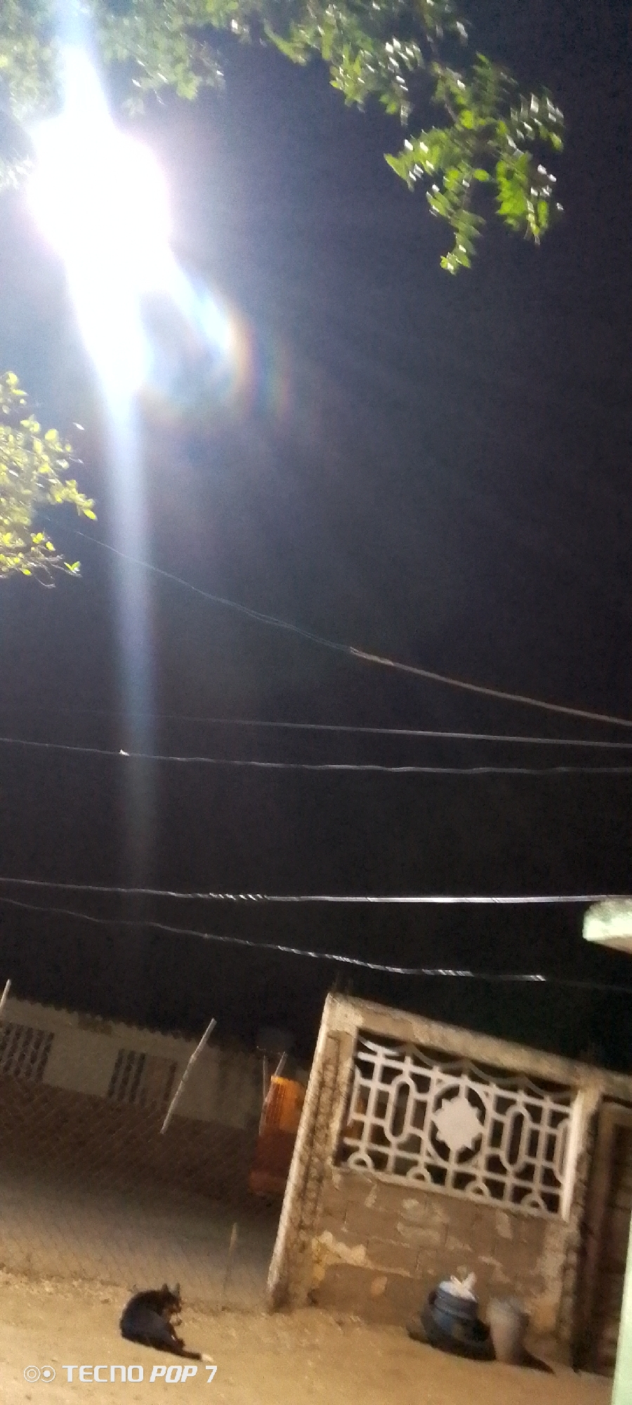 The image, captured at night in what appears to be Altagracia, Venezuela, depicts a dimly lit outdoor scene. A bright light source, likely a streetlight, is prominent in the upper part of the frame, casting a strong glow. A few leafy branches are visible near the light. Power lines are strung across the middle ground. In the foreground, on a dirt or gravel surface, a dark cat is seated. Behind the cat is a low, patterned concrete wall. Next to the wall are objects, possibly bags or containers. Part of a building is also seen in the background. The photo was taken with a Tecno Pop 7 mobile device.