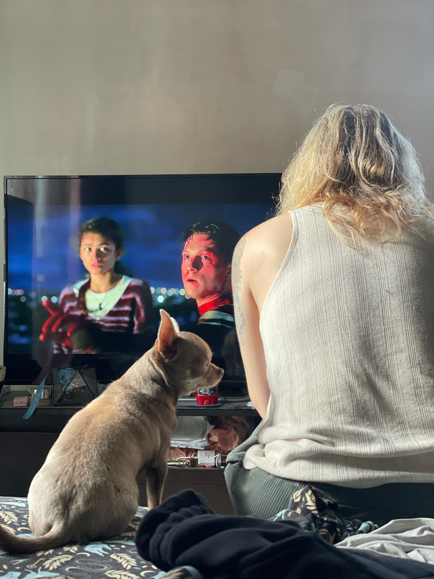A medium shot captures a person from behind, their blonde, wavy hair falling over their shoulders, as they watch a television screen. The person is wearing a cream-colored tank top with a subtle patterned texture and dark green pants. Beside them, a small, light brown chihuahua dog sits on a patterned surface, facing towards the television. The television displays a scene from a movie featuring two individuals. On the left, a woman with dark hair, wearing a striped top, looks outward. On the right, a man with short hair and a red-hued face, possibly injured or lit by red lighting, is also visible. The background shows a blurred cityscape at night with bokeh lights. The overall environment appears to be an indoor setting, possibly a bedroom, with clutter on a surface behind the dog, including a geometric object, a bottle, and what looks like shopping bags. The scene is set in the city of Kornevo, Russia.
