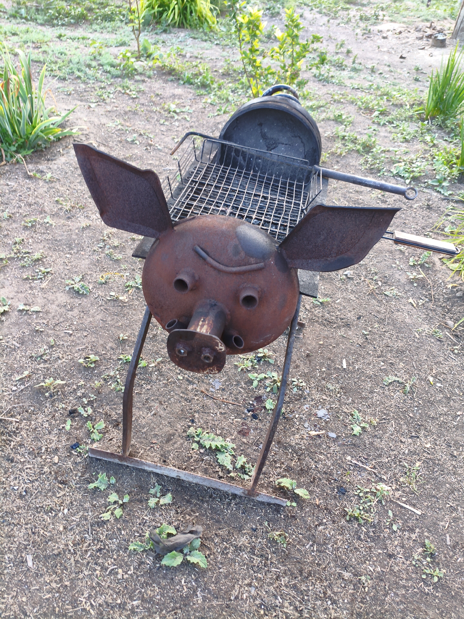 An overhead shot shows a rusty, pig-shaped barbecue grill standing on a dirt patch with scattered green plants. The grill is made of metal and has a round body, a snout, two eyes, and two large ears, resembling a pig's head. The grill's body is a black kettle with a lid, and a metal grate is positioned in front of it. The grill is supported by two metal legs. The surrounding area is covered in dry earth, small green weeds, and some dried leaves. In the background, there are patches of green vegetation and a small tree. The scene appears to be outdoors, likely in a yard or garden, and there are no people visible in the image. The location is identified as Ақсуат ауылдық округі, Kazakhstan.