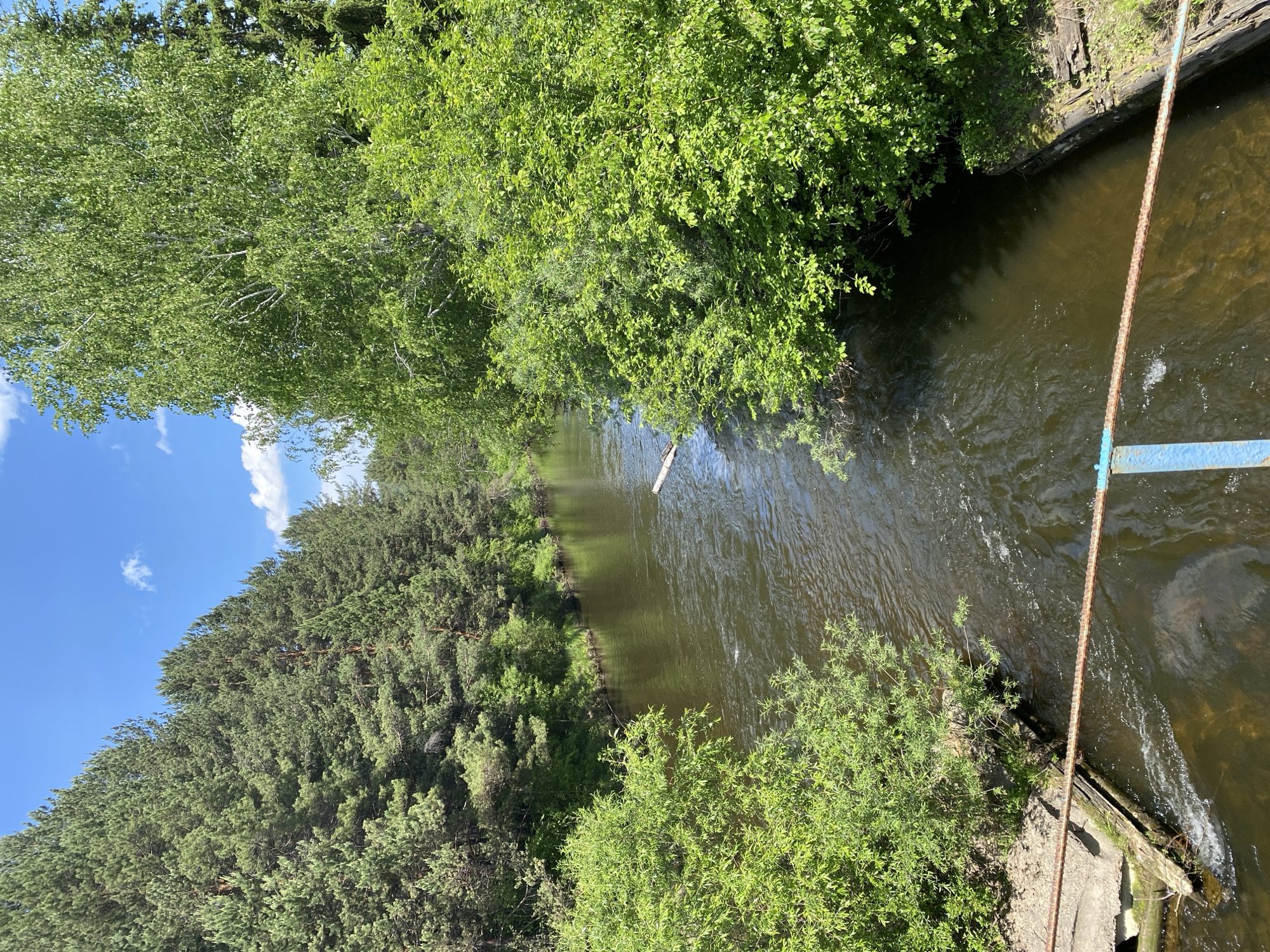 This is a daytime, high-angle, vertical shot of a river flowing through a wooded area. The river has dark, choppy water, and a fallen log lies across it. The banks are lined with dense green foliage, including pine trees on the left and a mix of deciduous trees and bushes on the right. The sky is blue with scattered white clouds. In the foreground, a rusty chain and a blue metal support are visible, suggesting the vantage point is from a bridge or walkway. The scene is located in Bolshoy Lug, Russia.