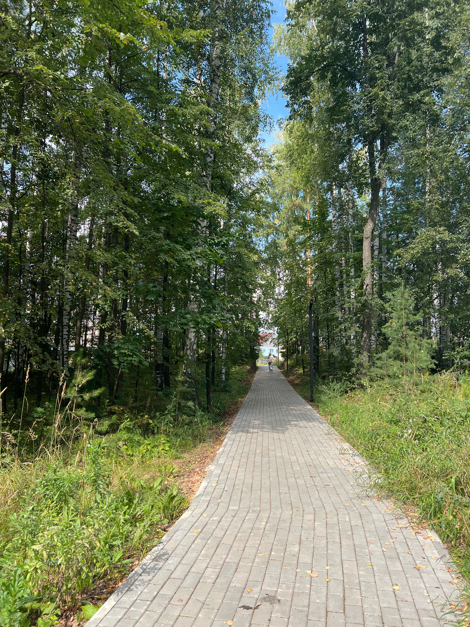 An outdoor vertical shot depicts a paved walkway in a park setting. The pathway, made of grey rectangular pavers, is bordered on both sides by lush green trees and vegetation. In the distance, a person is walking away from the camera on the path, and a building with a red roof is visible beyond the trees. The sky above is a clear blue. The image appears to have been taken in Noviy, Russia.