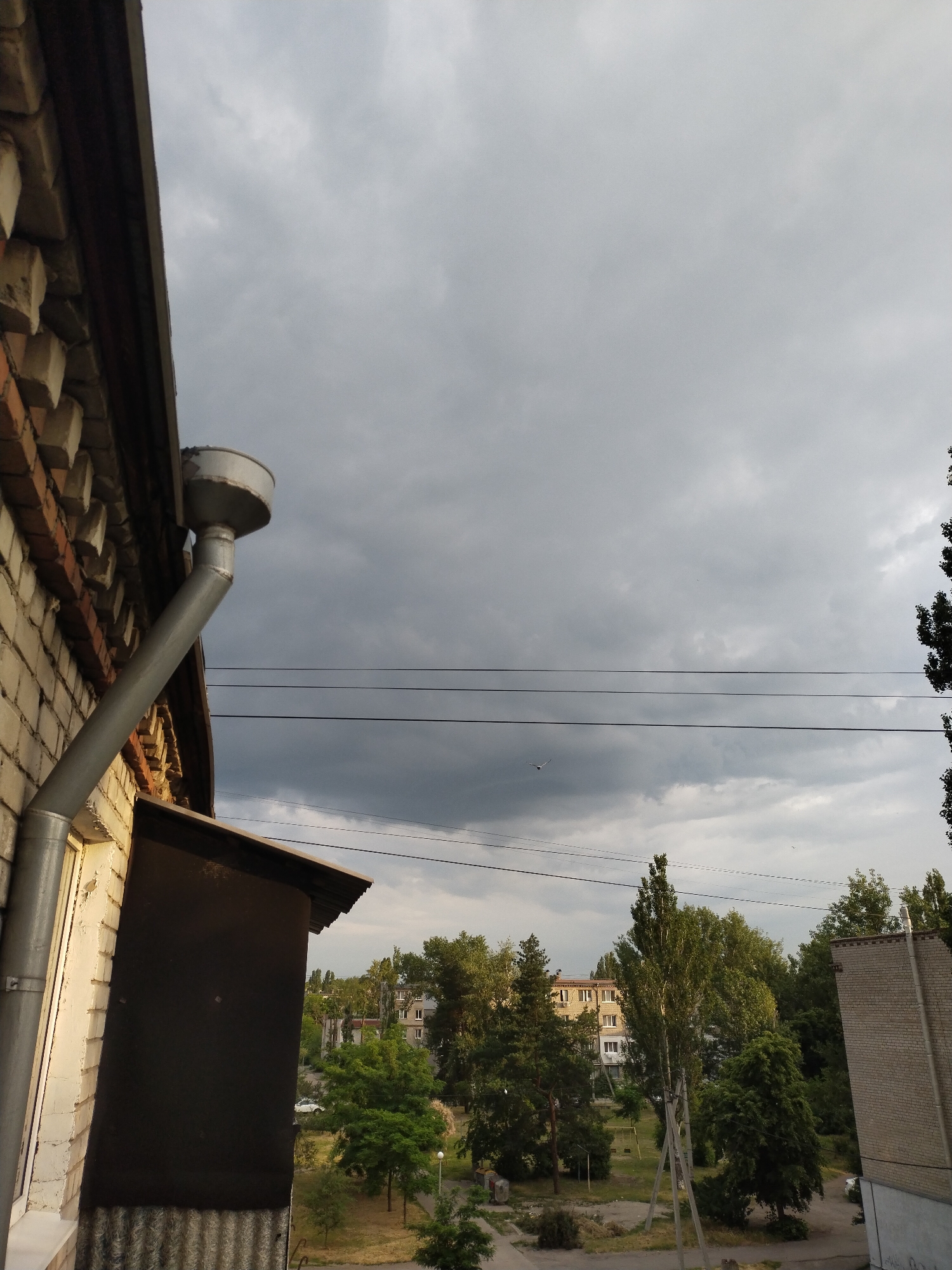 The image depicts an exterior view from an elevated position, likely a balcony or window, showing a street scene in Horishni Plavni, Ukraine, under an overcast sky.
In the foreground, on the left, is a section of a brick building. The facade features a pattern of reddish-brown bricks alternating with lighter, possibly cream-colored, rectangular blocks. A grey metallic downspout is attached to this building, originating from a large, funnel-shaped collector at the roofline. The downspout extends diagonally downwards and then vertically. Below the downspout, a white-framed window is partially visible. Adjacent to and below the window, a dark, rectangular panel is affixed to the building's exterior. The corrugated metal roof of a lower structure is visible at the bottom edge of the frame.
The sky occupies the upper two-thirds of the image and is heavily overcast with dark grey clouds, particularly dense in the lower and central portions, suggesting pre-storm conditions or recent rainfall. Three parallel black wires, likely utility lines, traverse the sky horizontally across the middle of the frame. Below these, a fourth, less distinct wire is visible.
A small, white bird is captured in flight, positioned below the primary set of wires and slightly to the left of the image's vertical center.
The midground and background consist of a densely treed urban landscape. Numerous deciduous trees with lush green foliage are visible, indicating summer or late spring. Several multi-story apartment buildings, constructed with light-colored materials (possibly concrete or stucco) and featuring multiple windows, are interspersed among the trees. A brick building, similar in construction to the foreground structure, is partially visible on the far right.
At ground level, partially obscured by trees, there is an area of sparse vegetation and what appears to be a path or unpaved ground. A white car is partially visible among the trees on the left side of the background. A light pole with a white support structure is also visible. The overall lighting is subdued due to the heavy cloud cover.