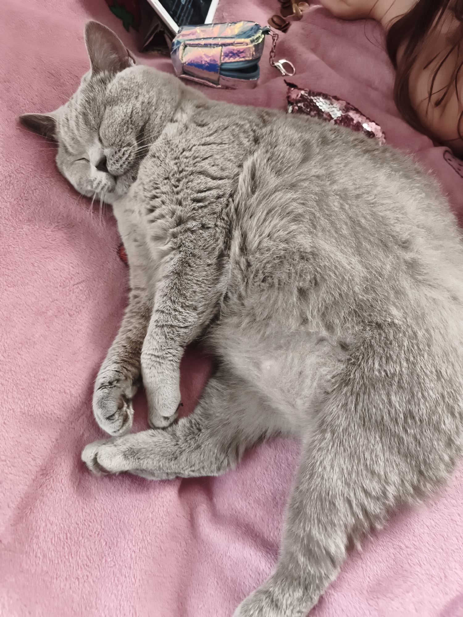 This media file features a grey cat sleeping soundly on a pink, plush blanket. The cat is curled up on its side, with its eyes closed and paws tucked in. The soft texture of the blanket creates a cozy and peaceful atmosphere.
In the background, several objects are visible, including a holographic pouch, a small sequined item, and what appears to be a tablet or book. A person's hair and shoulder are also visible at the far right of the frame, suggesting the cat is sleeping near someone. The lighting in the image is soft, indicating it could be daytime indoors or a dimly lit room.
The overall scene conveys a sense of relaxation and comfort, with the sleeping cat as the central focus. There is no visible text in the image. The location context provided is Daugavpils, Latvia, but this cannot be visually confirmed from the image itself.