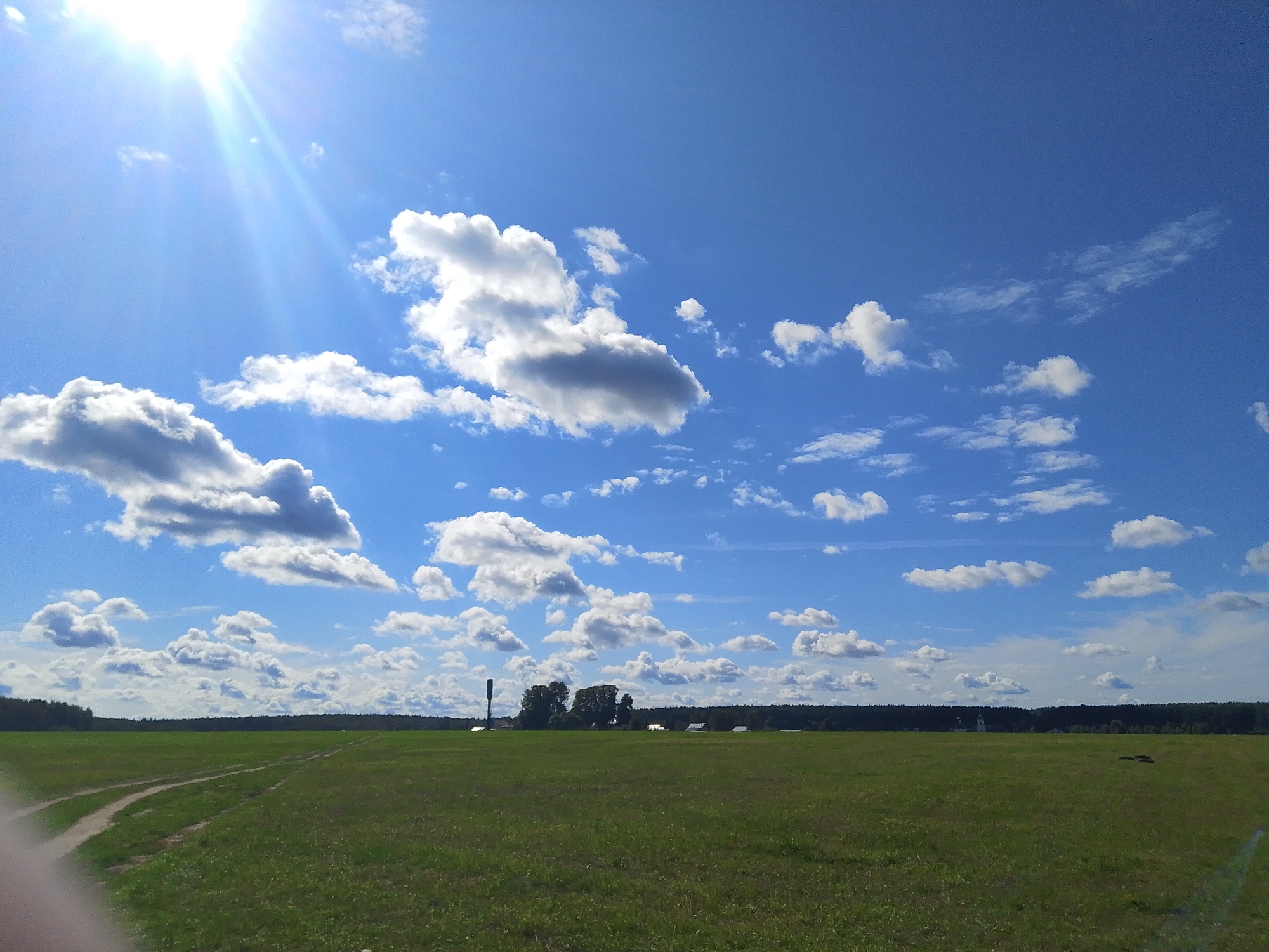 A bright, sunlit scene depicts a vast, green grassy field under a vibrant blue sky dotted with fluffy white clouds. In the distance, a line of dark green trees forms the horizon, with a few buildings visible amongst them. Two dirt tracks run across the field, leading towards the distant trees. The sun, a brilliant white light with visible rays, shines intensely from the upper left corner of the image. The overall impression is one of a clear, summer day in a rural or park-like setting, potentially the outskirts of Kovrov, Russia, given the landscape.
