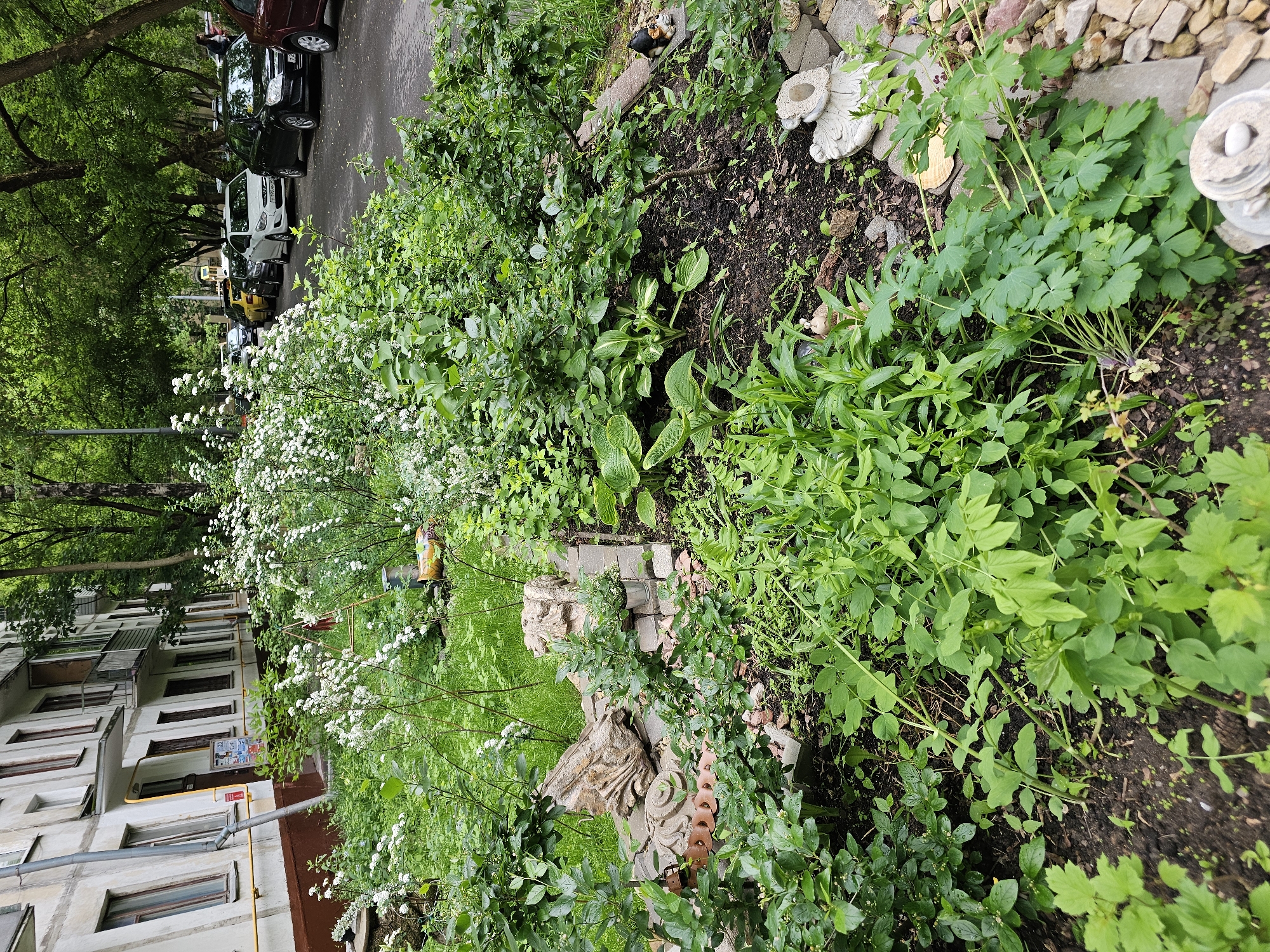 The image shows a verdant area beside a multi-story residential building on a street in Khimki, Russia. On the left side of the frame is a section of the apartment building, its exterior aged with multiple rows of windows. A yellow gas pipe runs vertically along the building's exterior. To the right is a flourishing garden area with a diverse mix of plants and flowers, predominantly green foliage interspersed with patches of small white blossoms. Garden decorations, including stone fragments and figurines, are scattered throughout the garden. A road borders the garden, where multiple parked cars are visible. The scene is bathed in natural daylight, suggesting an outdoor setting. Tall trees line the street.