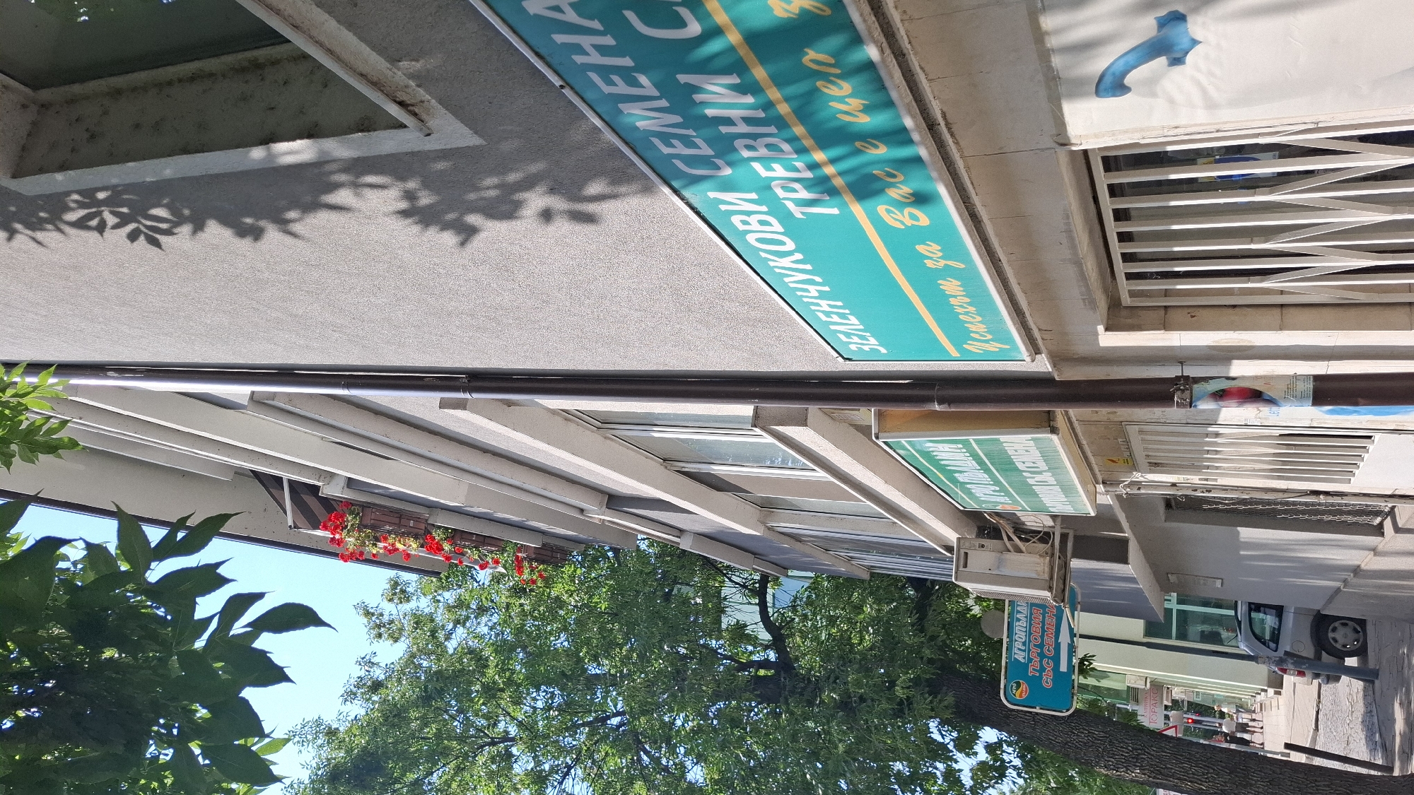 This image shows a street scene in Plovdiv, Bulgaria. The perspective is from a low angle, looking upwards. In the foreground, lush green leaves and branches of a tree partially obscure the view. Behind the tree, a building facade is visible, with several signs. One prominent sign, a turquoise rectangle with yellow lettering, reads "ЗЕЛЕНЧУКОВИ ТРЕВНИ СЕМЕНА" and below that, "железния за Вас е ев". Another smaller, light green sign with darker green text says "АГРОПЛАМ ТЪРГОВИЯ СЪС СЕМЕНА". A dark pipe runs horizontally across the building. Above the pipe, windows and a metal grate are visible. Further up, another sign with a blue curved shape resembling a faucet or pipe is on a white surface. The scene appears to be outdoors during the daytime, with clear blue sky visible between the trees. The overall impression is one of a commercial area with shops and greenery.