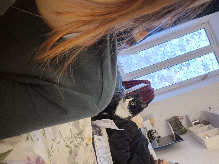 The scene is situated indoors in a residential property in Strasbourg, France. The foreground is occupied by the right shoulder and a portion of the head of a person with reddish-brown hair, wearing a dark green long-sleeved top and a thin gold chain around the neck. Directly behind and to the left of this person is a white-framed double window featuring frosted glass panes with a distinct leaf pattern, allowing diffuse natural light into the room. Centered in the midground, a black and white domestic cat with green eyes and a dark, possibly studded, collar sits upright, facing the camera with an alert expression. To the right of the cat, a male individual with a dark beard is partially visible, reclining on a bed or similar surface covered with a light-colored floral patterned duvet or blanket. He wears a dark long-sleeved shirt, and his left hand rests near some papers or a book. Above and behind this individual, a white wall-mounted shelf unit holds various small items, including what appears to be a collection of writing utensils in a container. A silver-backed device, possibly a laptop or tablet, is partially visible on the bed near the background person.