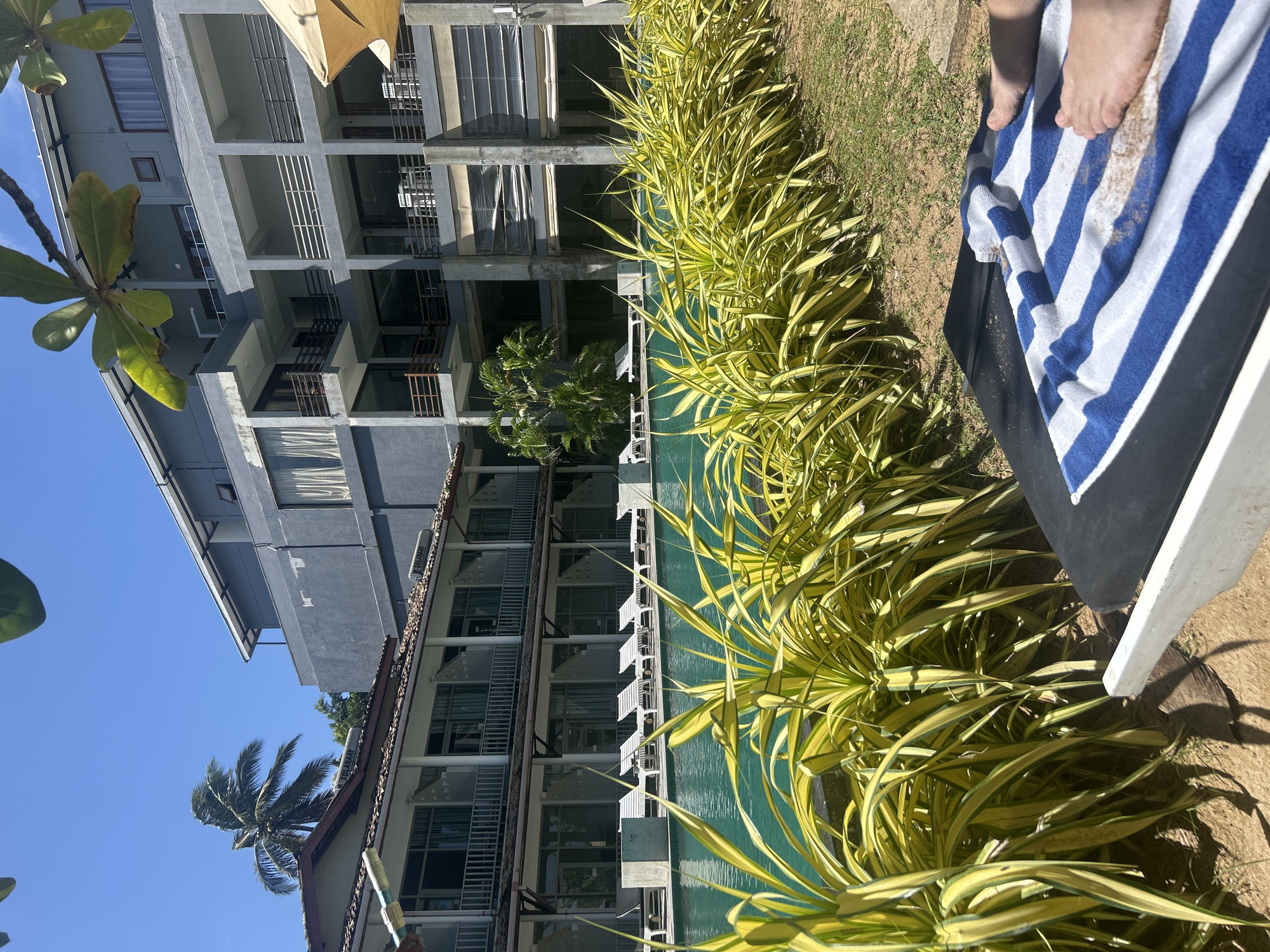 The image depicts a resort swimming pool area in Mirissa, Sri Lanka, on a sunny day. In the foreground, a person's feet are resting on a blue and white striped beach towel spread over a black lounge chair. The lounge chair is situated on a sandy area with patches of green grass. A row of vibrant yellow-green foliage lines the edge of the swimming pool, which is filled with clear turquoise water. Beyond the pool, a multi-story building with grey walls and balconies stands, its architecture suggesting a tropical resort. The building features numerous windows and railings. A palm tree is visible to the left of the building, its fronds swaying in the breeze, characteristic of the coastal landscape of Sri Lanka. A portion of a yellow umbrella is visible at the top right corner of the image, suggesting it provides shade for a seating area. The sky is a clear, bright blue.