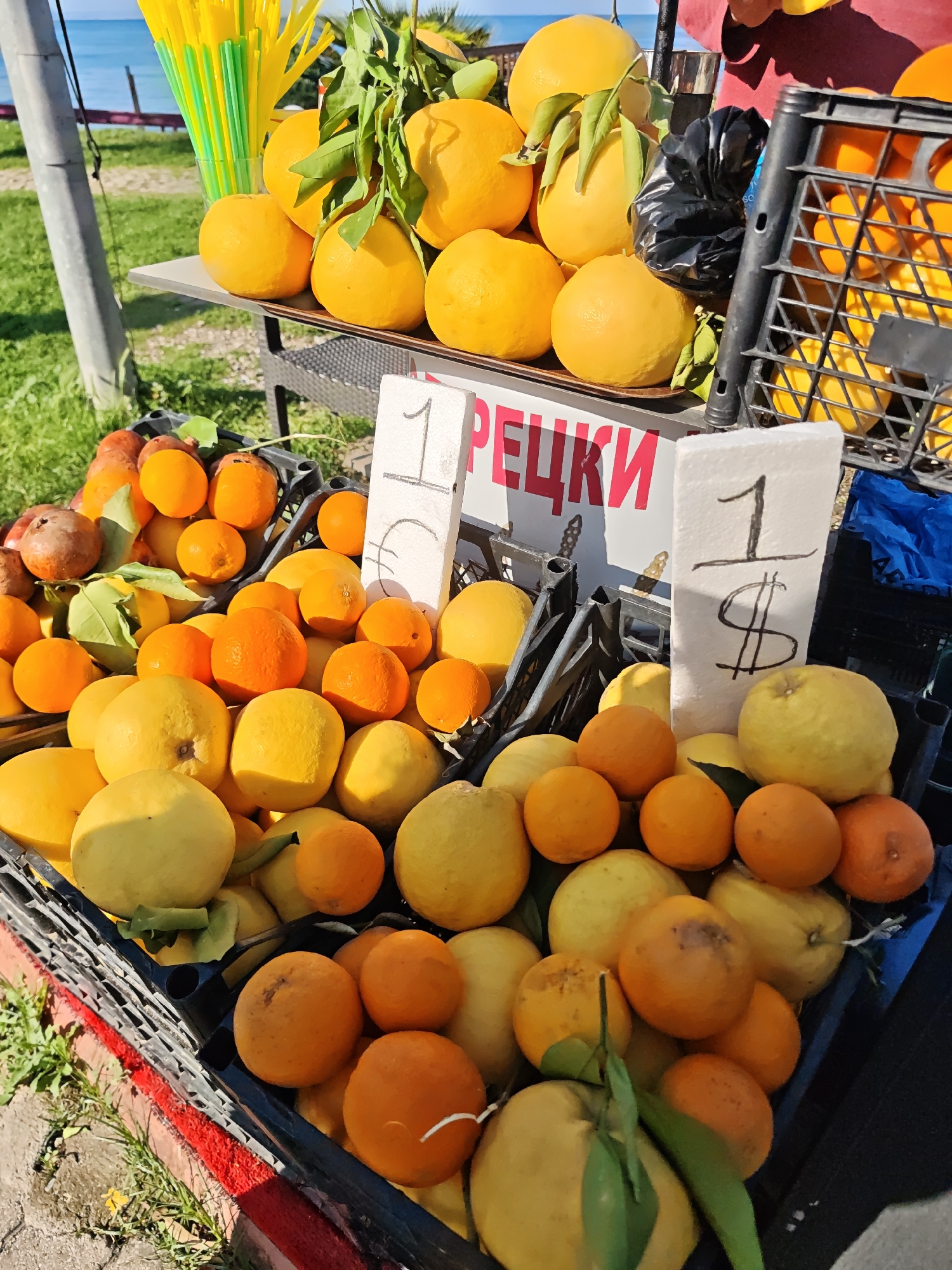 An eye-level, outdoor shot shows a fruit stand with a variety of citrus fruits on display in Kemer, Turkey.
Several plastic crates are filled with oranges, mandarins, lemons, and other yellow citrus fruits, along with a few pomegranates. Price signs, handwritten in what appears to be Russian, are prominently placed among the produce; one sign has a Euro currency symbol and the other has a dollar sign. Yellow and green drinking straws are arranged in a glass on a table in the background behind the fruit crates. A utility pole can be seen on the left side of the shot, and a possible ocean view appears in the background.
The scene conveys a marketplace setting or a roadside fruit stand in the coastal city of Kemer.