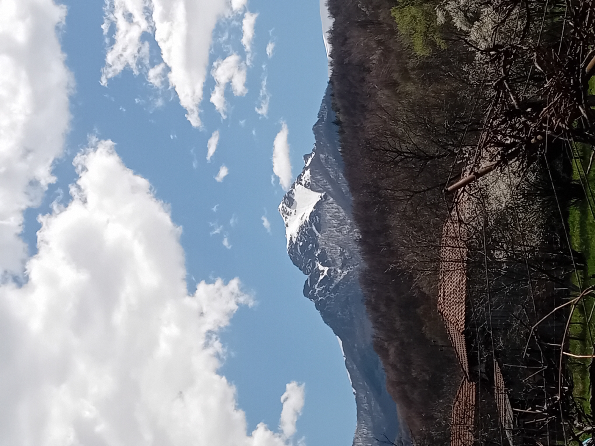 The image shows a mountain partially covered with snow under a blue sky dotted with white clouds. To the right of the mountain is a hillside covered with trees and some greenery. In the foreground, there's a mix of branches and what appears to be a fence or structure made of dark materials. The location is unidentified, and the scene seems to be captured in a natural environment.