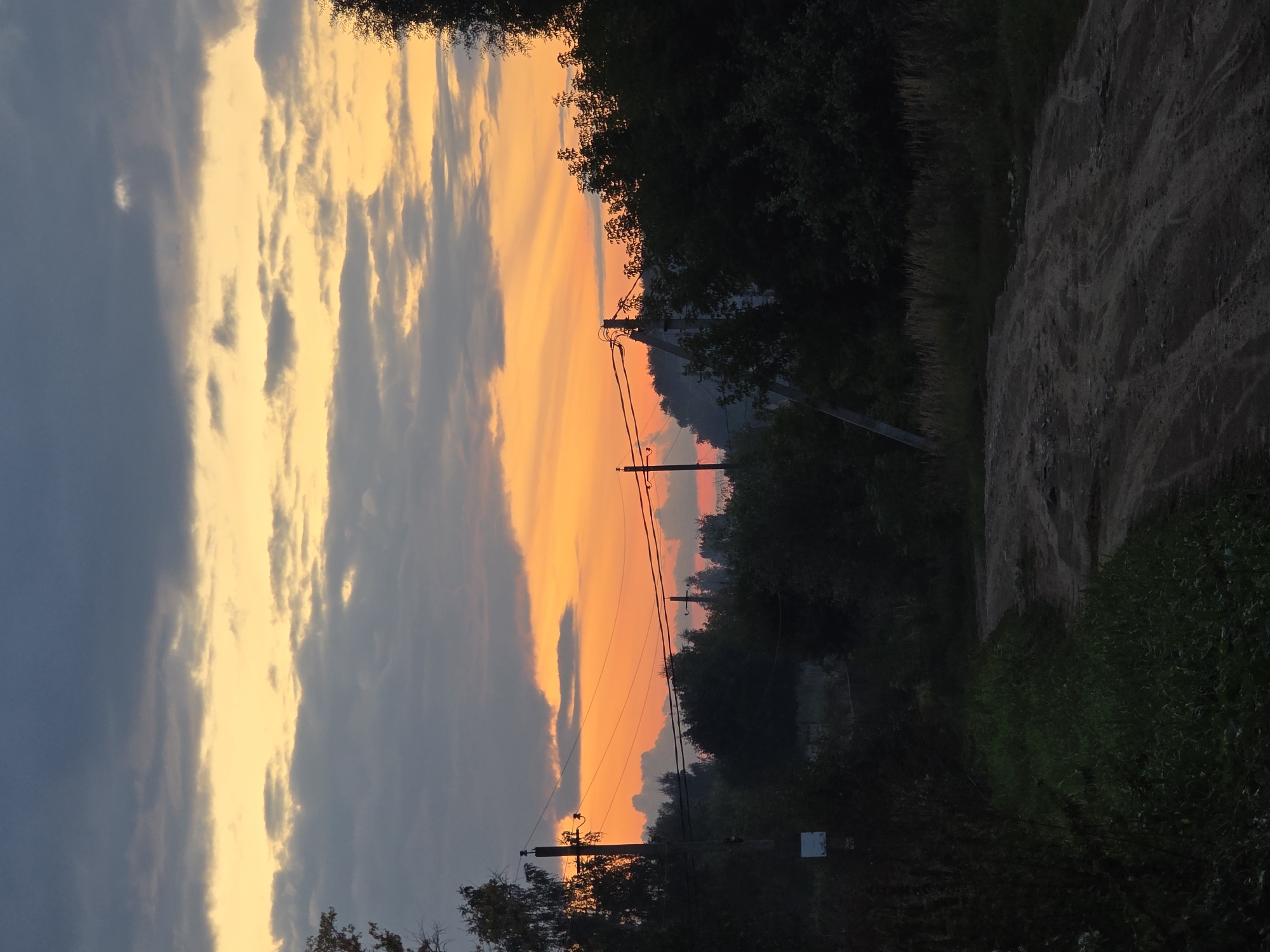 The image depicts a rural landscape at dusk, characterized by a dramatic sky and silhouetted trees. The sky is filled with layers of dark, gray clouds above and vibrant orange and yellow hues near the horizon, suggesting the last light of sunset. Rays of light emanate from behind the clouds, creating a dramatic effect. In the foreground, a dirt road curves from the bottom left towards the right. Dark green foliage and trees line the sides of the road and fill the background. Several utility poles with power lines are visible against the sky, indicating the presence of human infrastructure in this otherwise natural setting. There are no people or animals visible in the image. The overall atmosphere is serene and somewhat somber due to the fading light. The location is not specified within the city of Речицы, Russia.