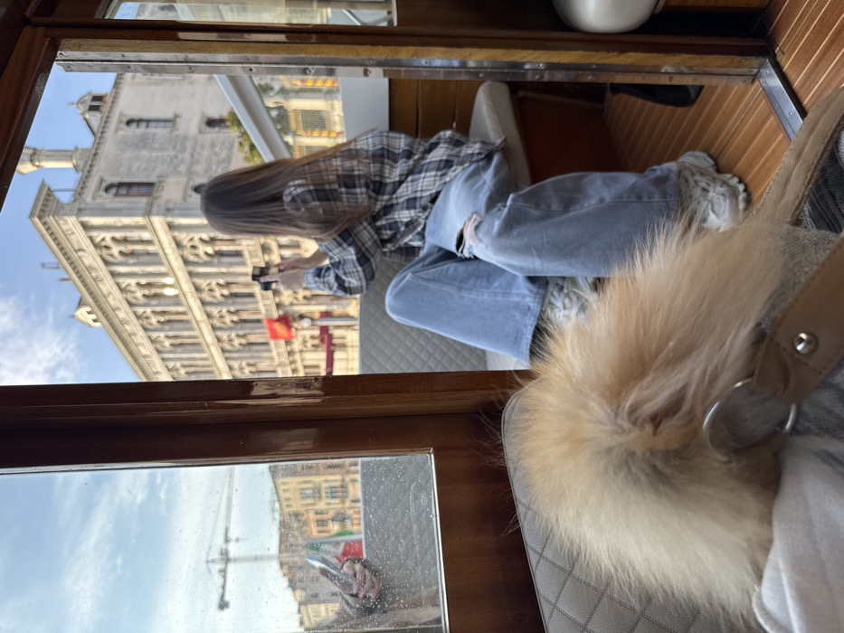 The image shows the interior of a boat or water taxi in Venice, Italy, looking outward onto a canal. In the immediate foreground, the posterior of a fluffy, light brown animal, consistent with a small dog breed, is visible on a quilted gray upholstered seat. A brown leather strap with a silver ring is positioned near the animal. Adjacent to this, a person with long, dark hair is seated on a similar quilted gray bench, facing away from the viewer and towards the exterior. This individual wears a blue and white plaid long-sleeved shirt and light blue, distressed wide-leg jeans, along with white athletic shoes. They are actively holding a black compact camera with both hands, aiming it towards the canal and buildings.
Through the left window of the boat, a blurred reflection of hands holding a smartphone is visible, also appearing to capture an image. Beyond the reflection, parts of a canal, other colorful Venetian buildings, a construction crane, and an Italian flag are discernible under a bright sky. Through the right side of the boat, a large, ornate, multi-story historic palazzo dominates the background. This building, characterized by numerous arched windows and classical architectural details, stands directly on the canal bank. Several red banners are attached to its facade. The sky above is blue with scattered white clouds. The entire scene is consistent with travel along a major waterway such as the Grand Canal in Venice, Italy.