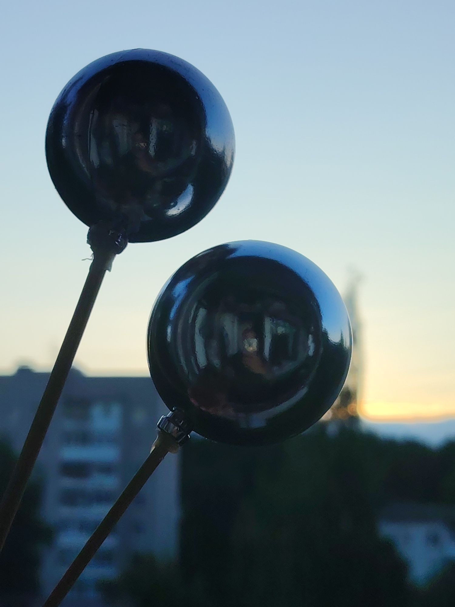 The image displays two dark, highly reflective spherical objects mounted on slender rods, set against a gradient sky during what appears to be either sunrise or sunset. The sky transitions from a soft blue at the top to a warm yellow and orange glow along the horizon.
The spheres are positioned prominently in the foreground, angled upwards from the lower left. Their glossy surfaces capture distorted reflections of the immediate surroundings, revealing rectangular patterns that suggest indoor elements such as window frames or light sources. These reflections imply the photograph was taken from inside a building, looking out. One reflection on the lower sphere hints at a vague human shape or the photographer's presence.
In the blurred background, urban structures, possibly apartment buildings typical of Russian architecture, are visible on the left. Dark foliage or trees occupy the mid-ground, and a faint, brighter structure can be seen on the distant right against the radiant horizon. The rods supporting the spheres are thin and appear to be wooden, attached to the spheres by small metallic fixtures.
The scene conveys a peaceful atmosphere under clear skies, characteristic of the "golden hour." The location is Chaikovsky, Russia. No specific activity is taking place, and there is no visible text in the image.