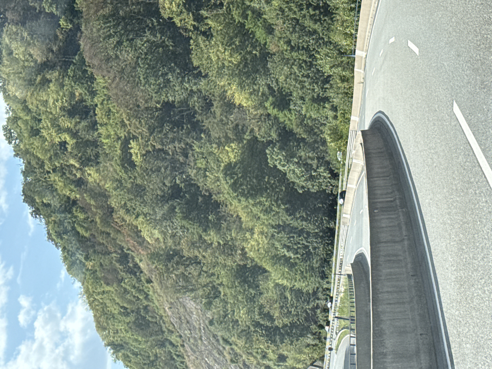 This is a ground-level view of a highway interchange in Bad Lauterberg im Harz, Germany, on a partly cloudy day. The highway curves to the right, with concrete barriers on the left and right sides. White lane markings are visible on the asphalt road surface. Beyond the highway, a steep, tree-covered mountainside rises, with a mix of green and some brownish foliage. Several vehicles, including cars and possibly a truck, are visible on the highway lanes. The sky above is blue with scattered white clouds.