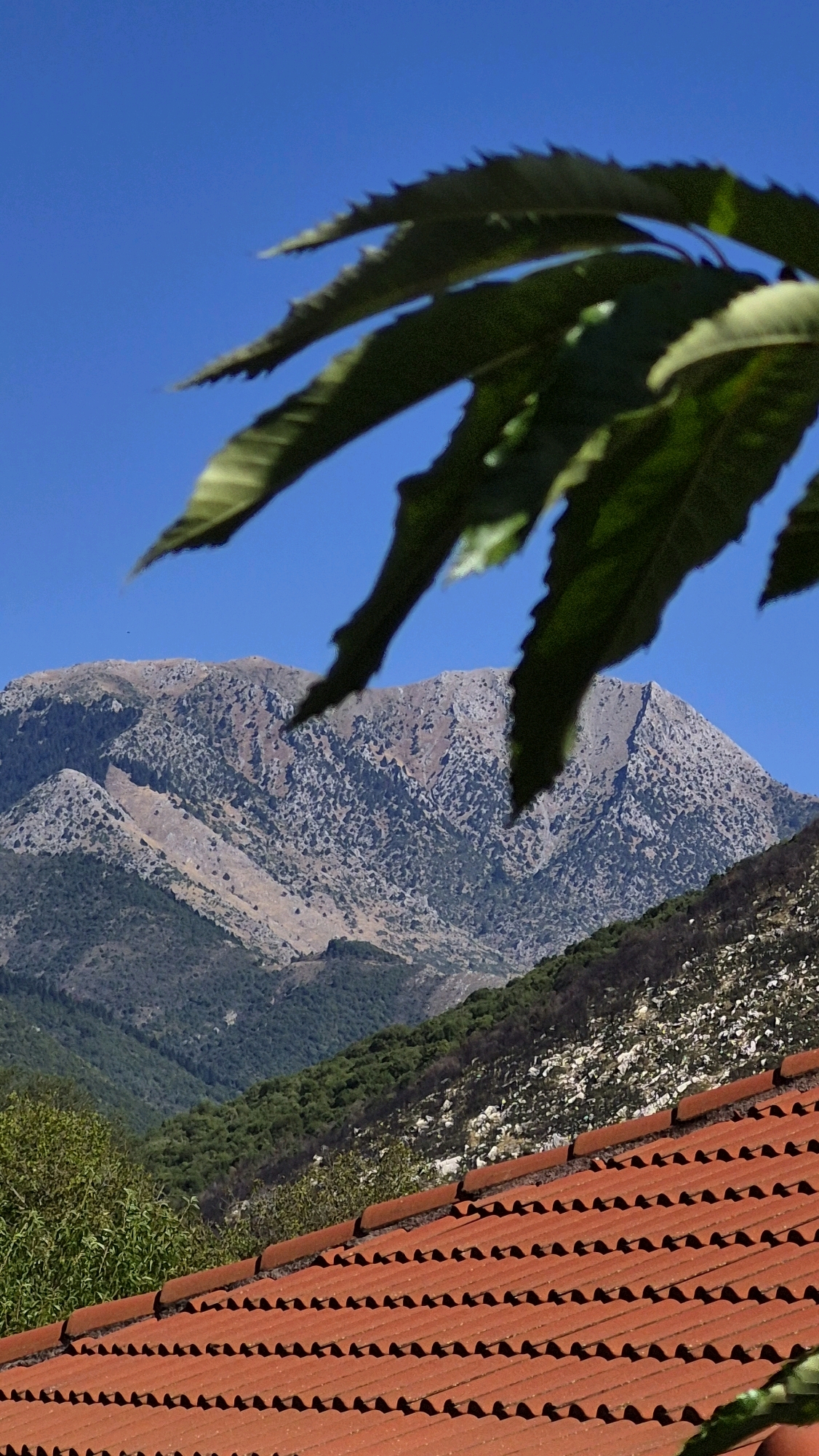 An outdoor, eye-level, full shot shows a tiled roof in the foreground. The roof is made of terracotta-colored tiles that are corrugated. Behind the roof, there is a green hillside with trees. Further in the background, there is a large, rocky mountain with some sparse vegetation. The sky is a clear, bright blue. In the upper foreground, there are out-of-focus green leaves partially obscuring the view of the sky and mountain.