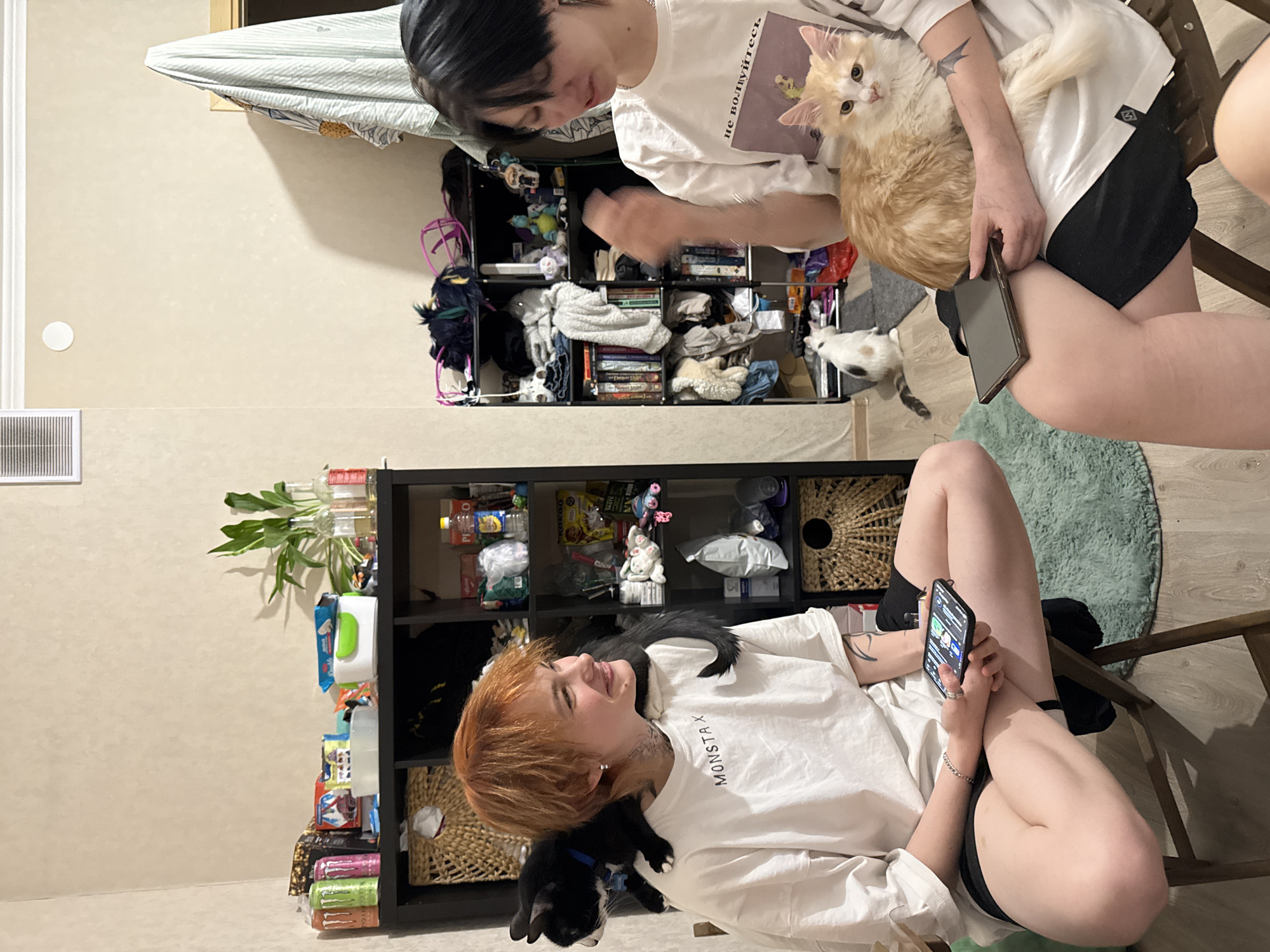 In Saint Petersburg, Russia, an indoor scene features two individuals seated on wooden folding chairs, surrounded by three cats. The person on the left, with short red-orange hair, wears a white t-shirt with "MONSTA X" printed on it and black shorts. They hold a smartphone in both hands and smile, looking towards the right. A black cat with a blue collar rests on their shoulders. The person on the right, with black hair, wears a white t-shirt bearing the Cyrillic text "не волнуйтесь" (do not worry) and a graphic, along with black shorts. They hold a tablet on their lap, which supports a light ginger, long-haired cat. Both individuals have visible tattoos on their arms. A third cat, white with black and brown patches, stands on the light wooden floor in the background, near a green shag rug. Behind the individuals, two black, multi-compartment shelving units are present, densely packed with various items including books, folded clothes, bottles (some identifiable as "Monster" energy drinks), snack packages, and miscellaneous objects. The walls are light beige, and a white ventilation grate is visible on the upper left wall. A bare doorframe with a striped cloth draped over it is partially visible on the right.