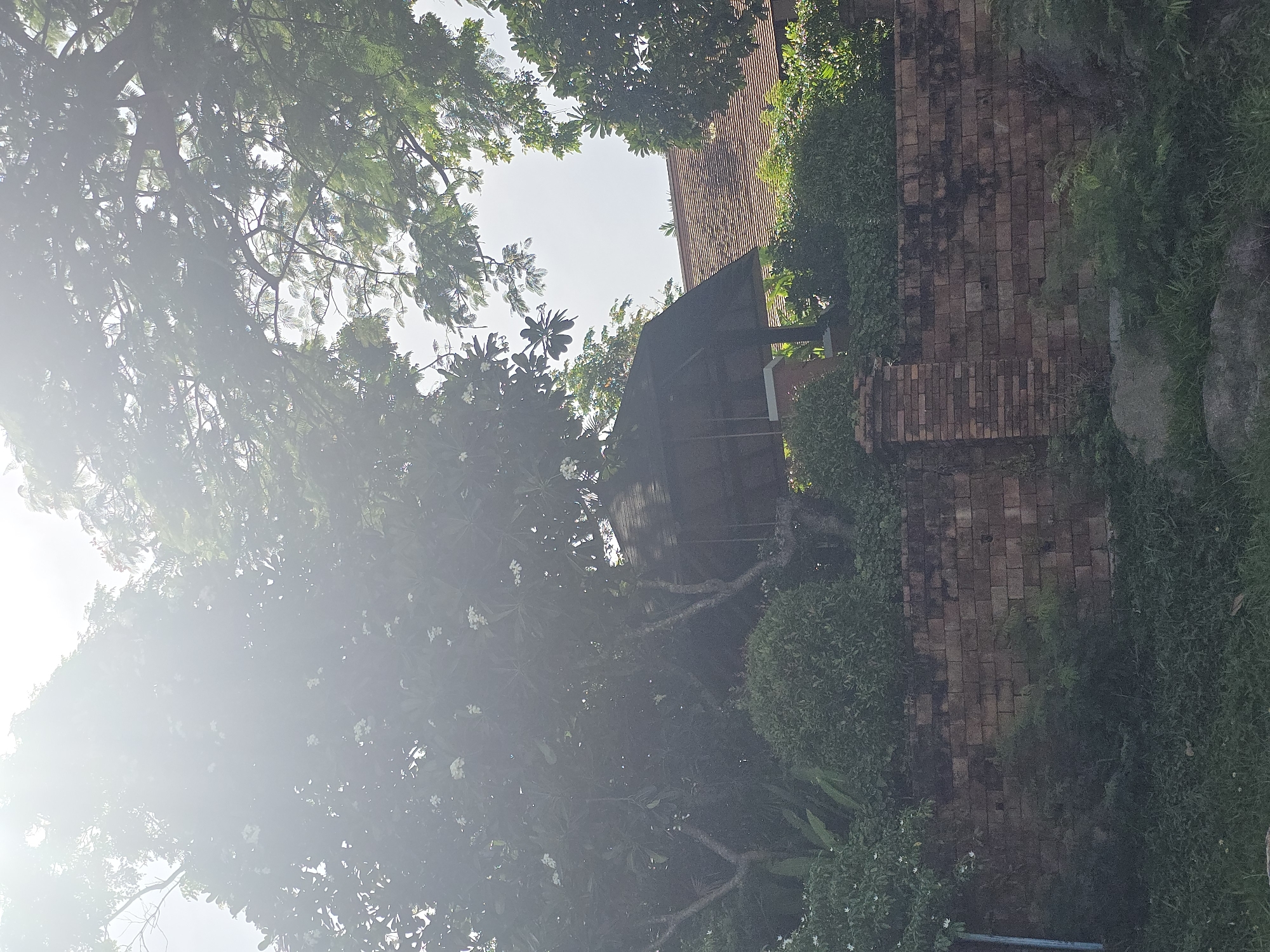 The image depicts an outdoor scene, likely a garden or resort area, with lush greenery and architectural elements. A prominent feature is a weathered brick wall in the mid-ground, constructed from rectangular reddish-brown bricks. To the left of the wall, a single, thin blue pole is visible. Above the wall, a dark-colored, open-sided structure with a peaked roof is situated. Further in the background, a building with a tiled roof is partially obscured by foliage. The foreground consists of dense green undergrowth and some large rocks. Overhead, a canopy of leafy trees dominates the upper portion of the frame, with bright sunlight filtering through the branches, creating a lens flare effect and washing out details in the sky. Small white flowers are visible on some of the trees. The overall impression is one of a tropical environment. The location is identified as Baan Chaweng Noi, Thailand. There are no people or animals visible in the image.