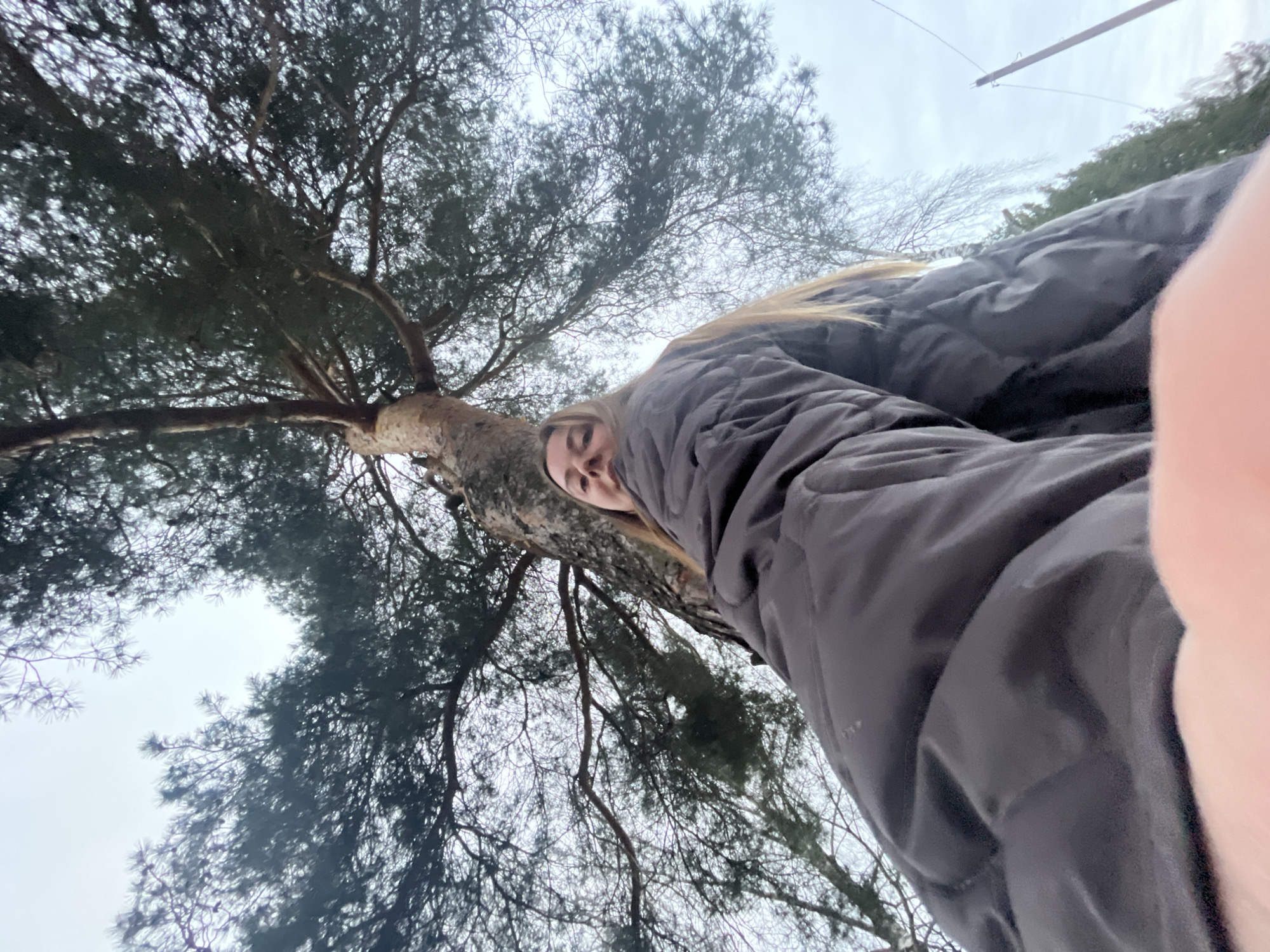A person is standing beneath a large tree in what appears to be a forested area. The tree has thick, dark foliage and many branches reaching towards the overcast sky. The person is wearing a dark-colored, quilted jacket. A portion of the person's face is visible, showing fair skin and blonde hair. The camera angle is low, looking up at the tree and the person. The location is Раздолье, Russia. A power line pole is visible in the background.