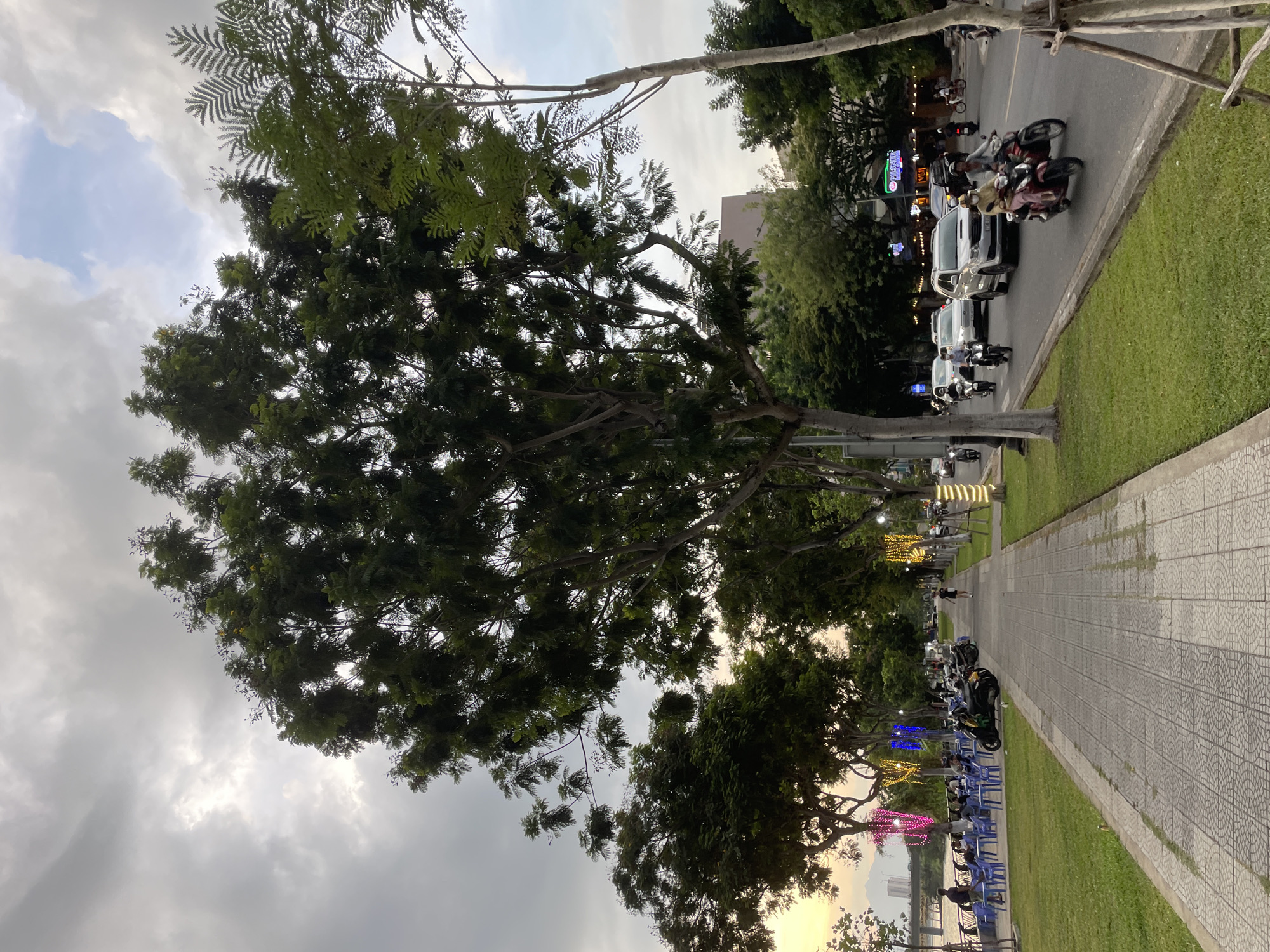 This is a medium-shot, vertical-orientation photograph taken at dusk in Đà Nẵng, Vietnam. The scene depicts a walkway paved with decorative tiles, bordered by lush green grass on one side and a busy street on the other. Tall trees with dense foliage provide shade and line the walkway, with some branches extending into the foreground.
On the street, several motorcycles and a few cars are visible, indicating ongoing traffic. People are riding on some of the motorcycles. Along the walkway, a line of blue plastic chairs is set up, facing a body of water. Some individuals are seated, possibly enjoying the evening. String lights in various colors – yellow, blue, and pink – are draped around the trees and poles, illuminating the area as daylight fades.
The sky is overcast with clouds, suggesting a cloudy or possibly humid weather condition. The setting appears to be a public area, perhaps a park or promenade along a river or coastline, popular for evening relaxation and social gatherings. The presence of the lights and the gathered people suggests a lively, yet relaxed, atmosphere as evening transitions into night. No discernible text is visible in the image.