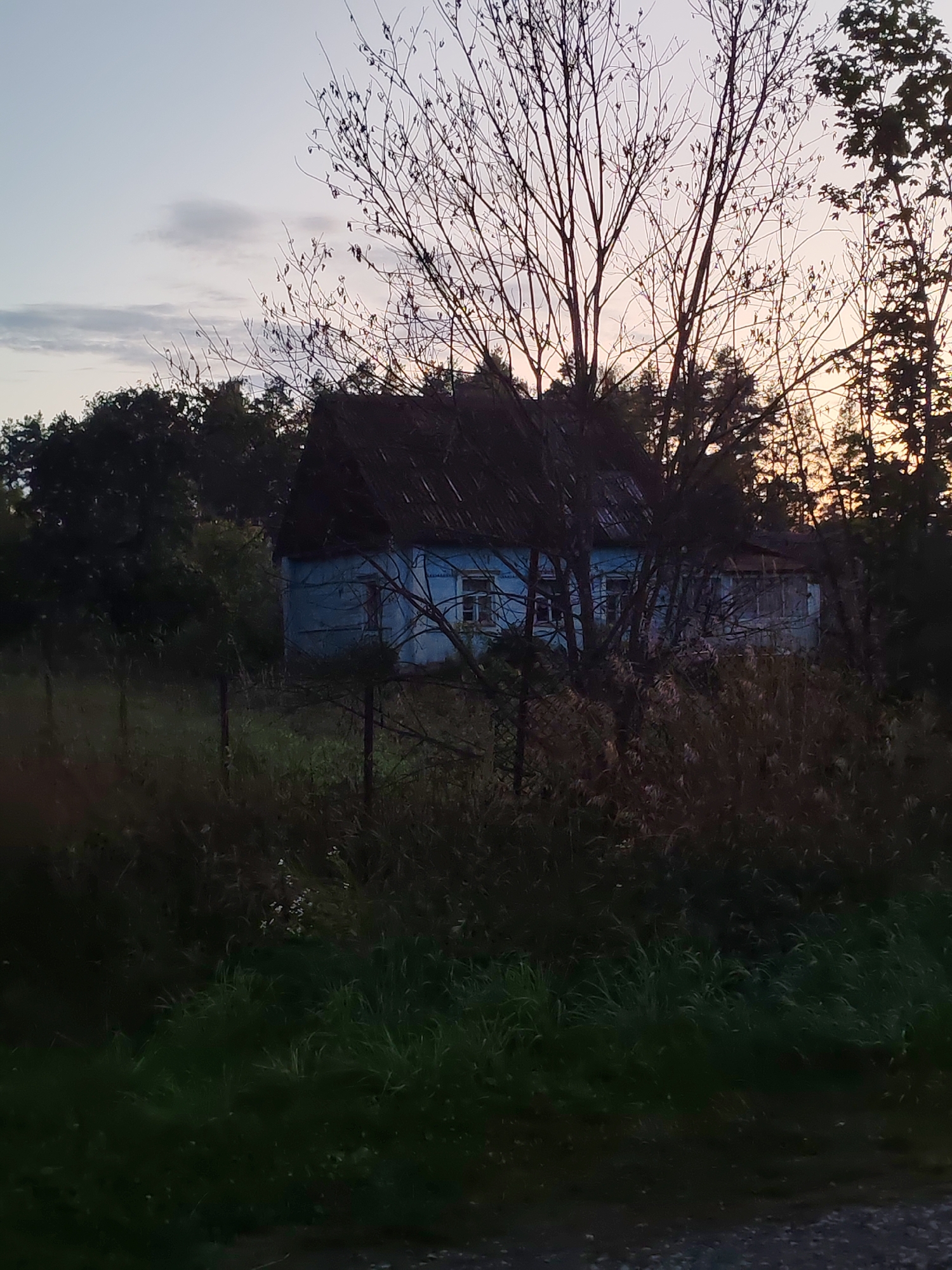 A weathered, pale blue wooden house with a dark, shingled roof stands amidst overgrown vegetation in Teshevichi, Russia. The house has several windows, some appearing broken or boarded up. Bare branches of trees frame the structure, and the surrounding area is dense with tall grasses and bushes. The sky is overcast with a pale, hazy light, suggesting either dawn or dusk. A simple wire fence is visible in the foreground.