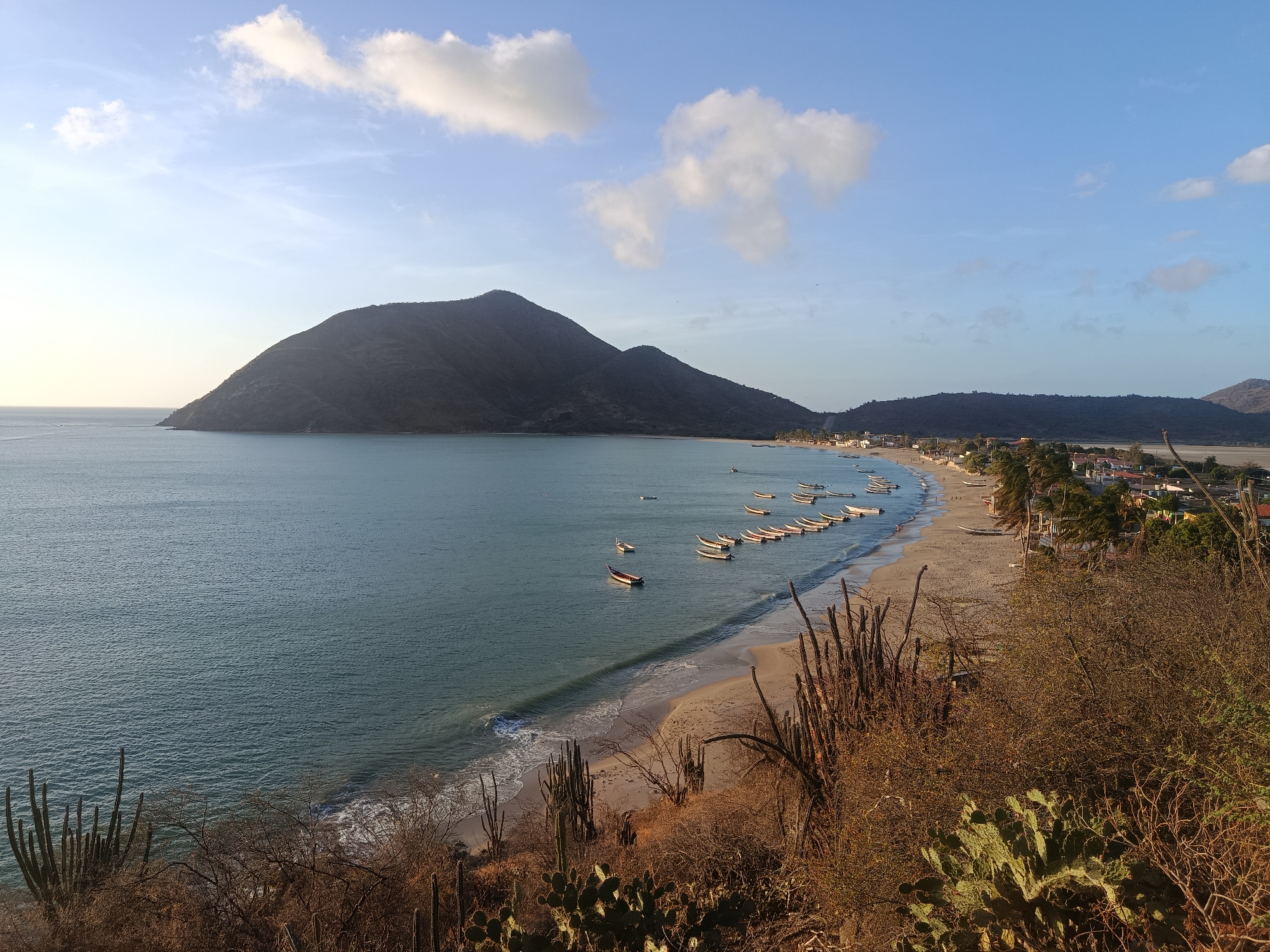 The image depicts a coastal scene in Juan Griego, Venezuela, featuring a broad bay with a sandy beach. A prominent, dark, mountainous peninsula extends into the sea on the left side of the frame. The sea is relatively calm with small waves breaking on the shore. Numerous small boats are lined up along the edge of the beach. The shoreline is partially developed with buildings and trees visible inland. The foreground shows arid vegetation including cacti and shrubs on a hillside overlooking the bay. The sky is partly cloudy with a clear blue color.