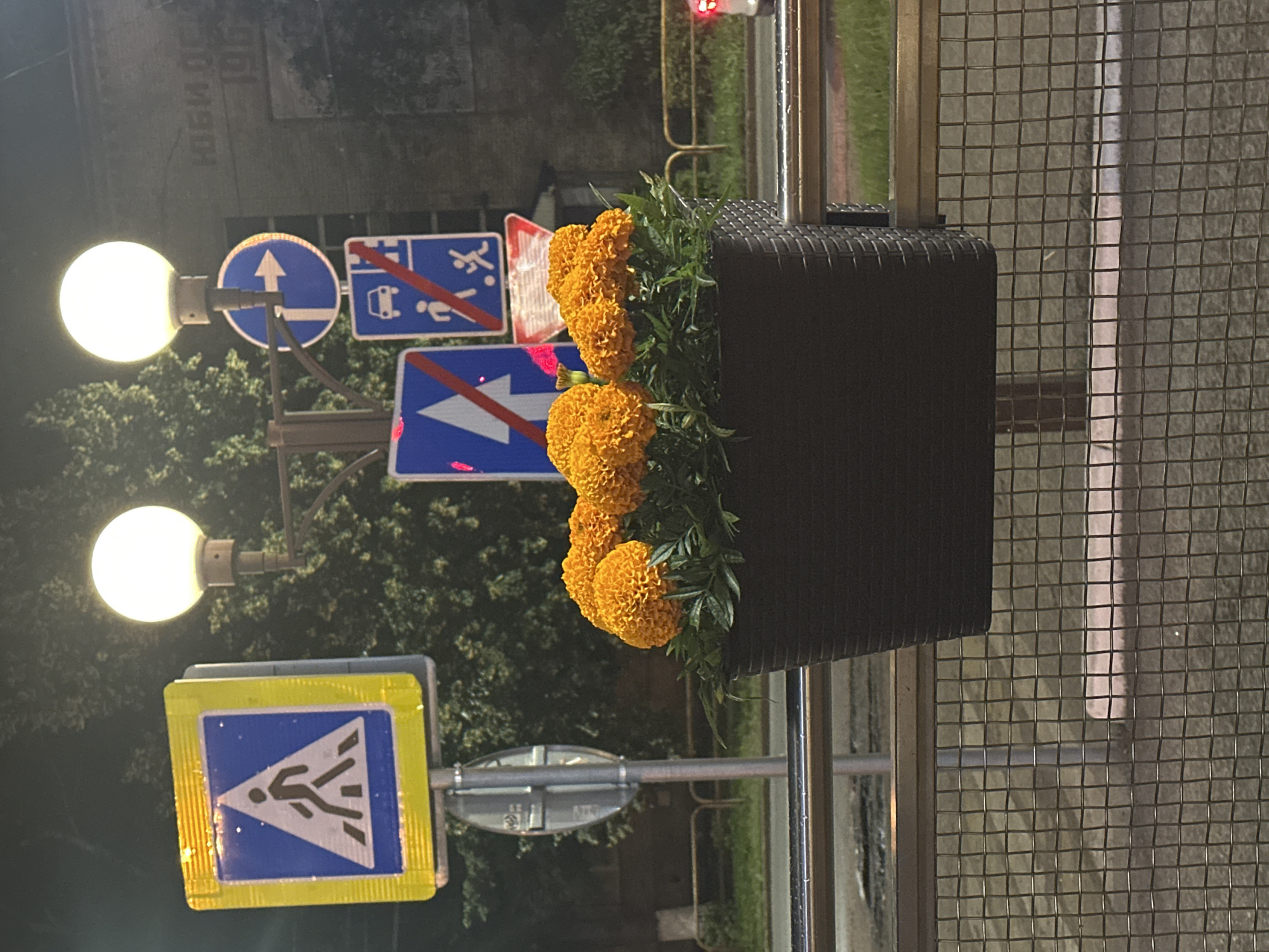 The image shows an outdoor scene at night, likely in Togliatti, Russia, indicated by the presence of Russian road signs. In the foreground, a dark brown planter box filled with bright orange marigold flowers is mounted on a metal railing. Behind the flowers, a series of road signs are visible. The topmost sign is a yellow diamond with a blue square inside, depicting a pedestrian crossing. To its right, a street lamp with a round, illuminated globe casts a warm light. Below this, several other blue rectangular signs with white symbols are mounted, including one indicating a right turn with an arrow, and another that appears to be a prohibitory sign showing a car and pedestrian with a red diagonal line through them. The background shows trees and a building with some text on it that is partially obscured. The overall impression is of a street corner or sidewalk area decorated with flowers and illuminated by streetlights.