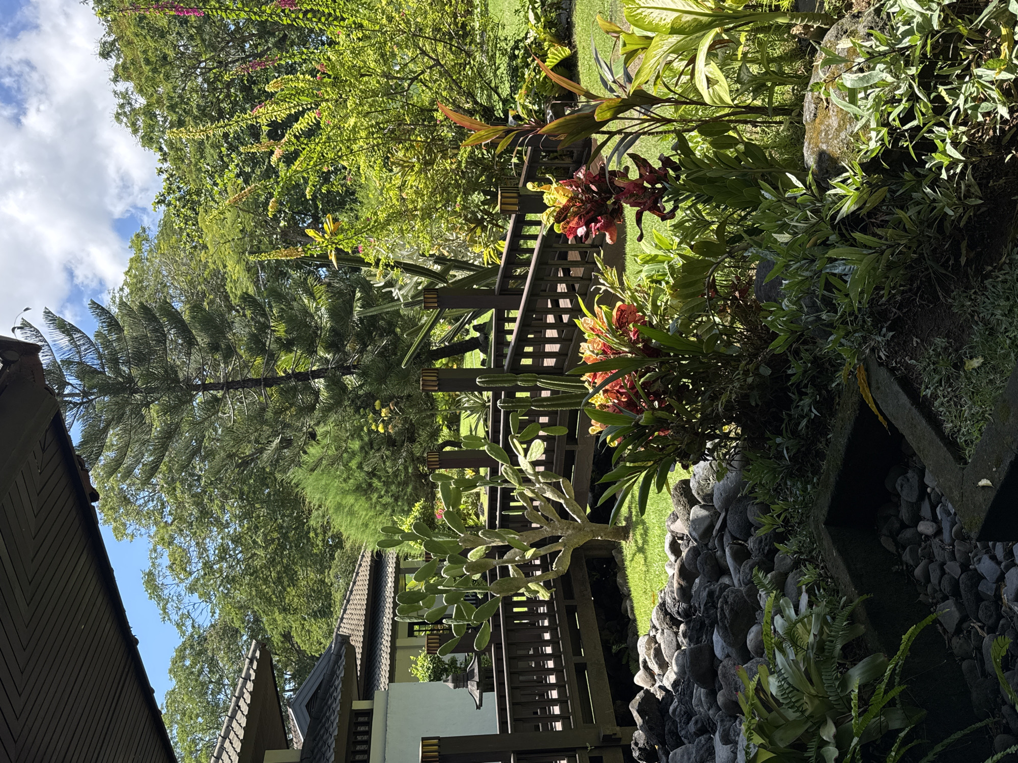 A vibrant landscape scene in Kuta Selatan, Indonesia, features a multi-tiered garden with lush vegetation. A wooden fence with squared openings runs horizontally across the mid-ground, separating garden sections. To the right of the fence, diverse tropical plants, including crotons with red and yellow foliage, dominate. A substantial rock wall borders the lower right corner, adding texture and depth. A cactus with broad, flat pads grows near the fence's base.
To the left, a towering palm tree extends upwards, its fronds reaching towards a partly cloudy sky. The rooftops of buildings with dark brown roofs are visible. The overall lighting is bright, suggesting a sunny day.
