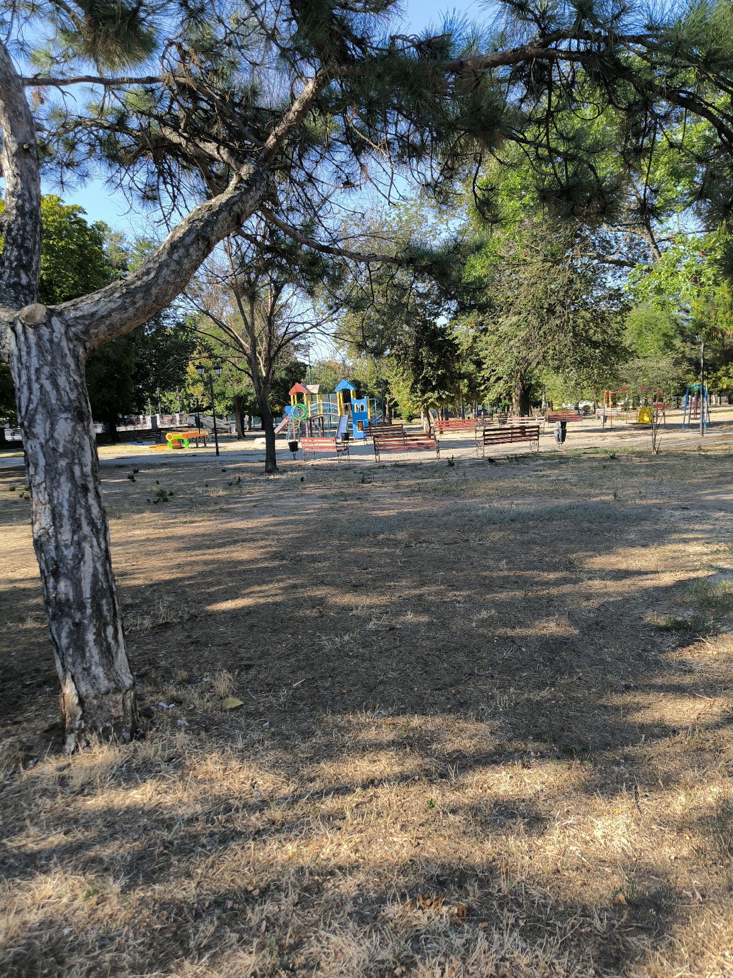 This image shows a park in Mykolaiv, Ukraine, on a sunny day. The park features a playground with colorful slides and swings, surrounded by trees and benches. The ground is covered in dry grass and fallen leaves, indicating it might be late summer or early autumn. Several trees with thick trunks and green foliage are visible, with one prominently in the foreground. The sky is clear and blue. There are no people visible in the scene.