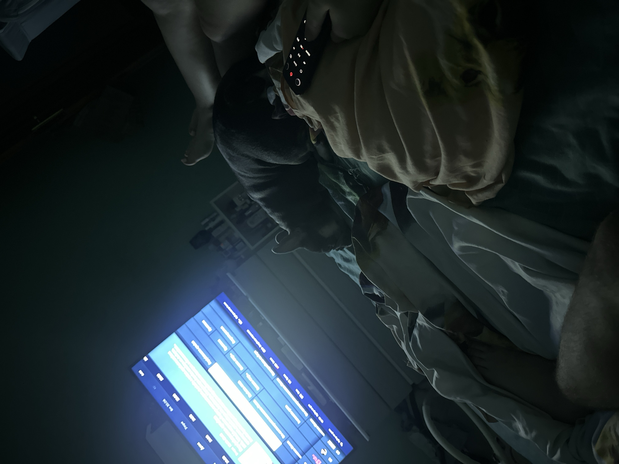 A dimly lit bedroom scene features a person lying in bed, holding a black remote control. A French bulldog is positioned on the bed, sniffing at the person's clothing. A television screen displays a menu with text in what appears to be Cyrillic script. The surrounding environment is dark, with the primary light source emanating from the television. The bed is covered in blankets and sheets. The overall impression is one of a relaxed evening at home.