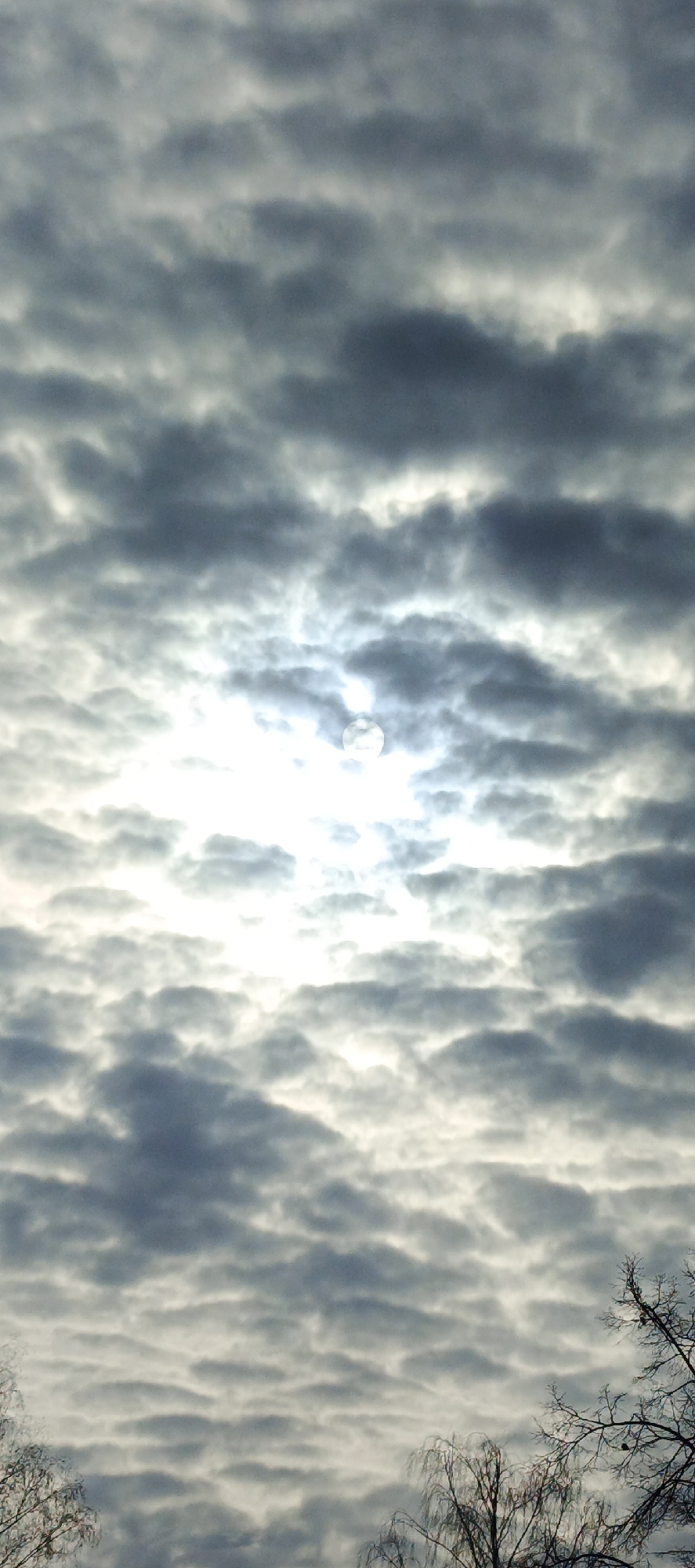The image depicts an overcast sky in Chaikovsky, Russia. The sky is filled with altocumulus clouds, creating a textured, mottled appearance. The sun is partially obscured by the clouds, appearing as a bright, diffused circle. In the lower portion of the frame, silhouetted tree branches are visible against the brighter sky. The overall impression is one of a cloudy, overcast day.