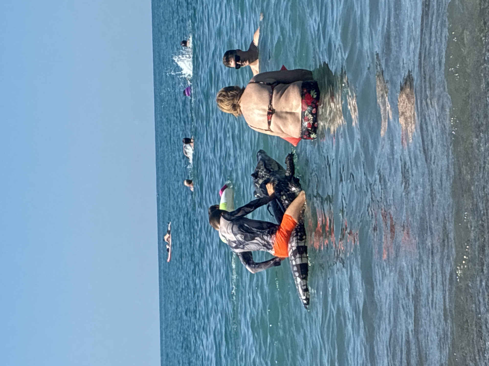 A medium shot captures a sunny day at a beach in Sochi, Russia, with several people enjoying the turquoise water. In the foreground, a person wearing a black and white long-sleeved shirt with a graphic print and bright orange shorts sits astride a large, inflatable alligator float. The person is facing left, looking towards the left side of the frame. To the right of the float, a woman with blonde hair and a bikini with a floral pattern is standing in the water, facing away from the camera. Behind her, a man with dark hair and sunglasses is also in the water, looking towards the woman. In the background, several other people are scattered across the water, some on inflatable tubes and others swimming. The sky is a clear, bright blue, and gentle waves lap against the shore, which is visible in the lower part of the frame.