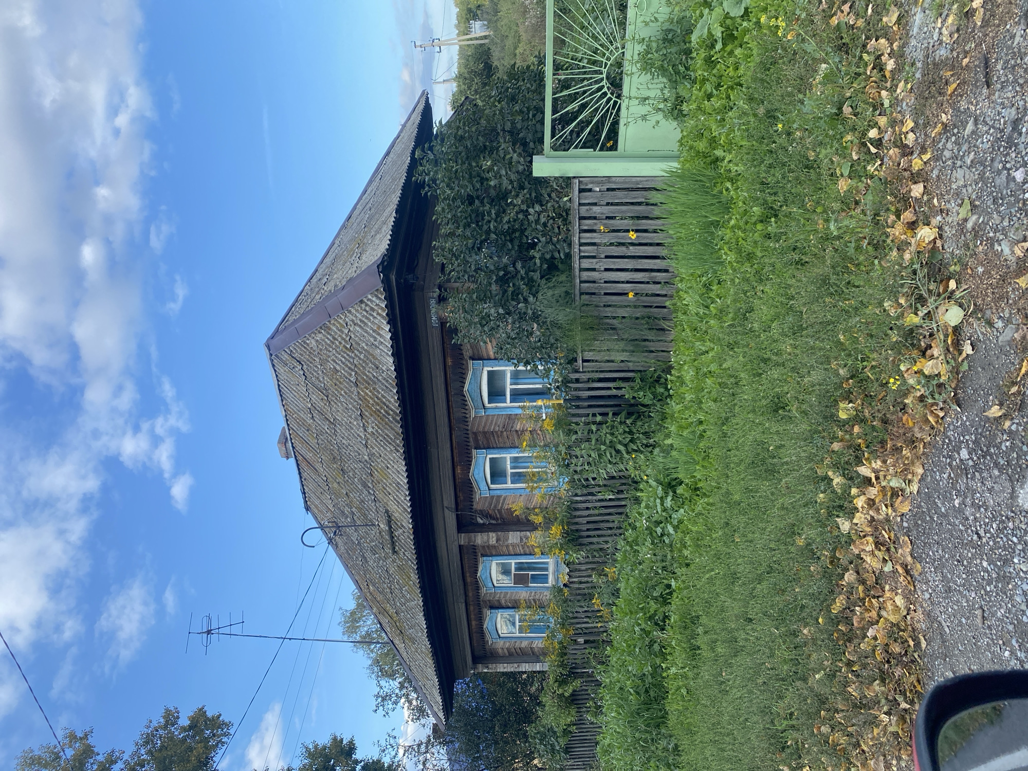 The image depicts a weathered wooden house with blue-trimmed windows, situated in the village of Медведское, Russia. The house has a dark, corrugated roof and is partially obscured by dense green foliage. A rustic wooden fence runs along the front of the property, with a green metal gate to the right. The foreground shows a gravel road with scattered fallen yellow leaves, indicating an autumn setting. Tall green grass and weeds grow in front of the fence, with some yellow wildflowers interspersed. The sky above is blue with scattered white clouds, and a television antenna is visible on the roof. The scene conveys a sense of rural simplicity and aged architecture.