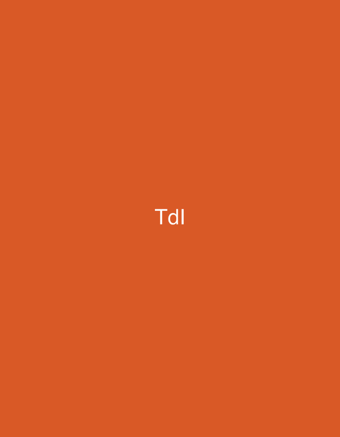 A digital graphic, contextually associated with Casablanca, Morocco, displays the white sans-serif text "Tdl" centrally positioned against a solid, vibrant orange background. The visual content is limited to these graphic elements, with no discernible physical environment, individuals, objects, actions, or interactions depicted within the image.