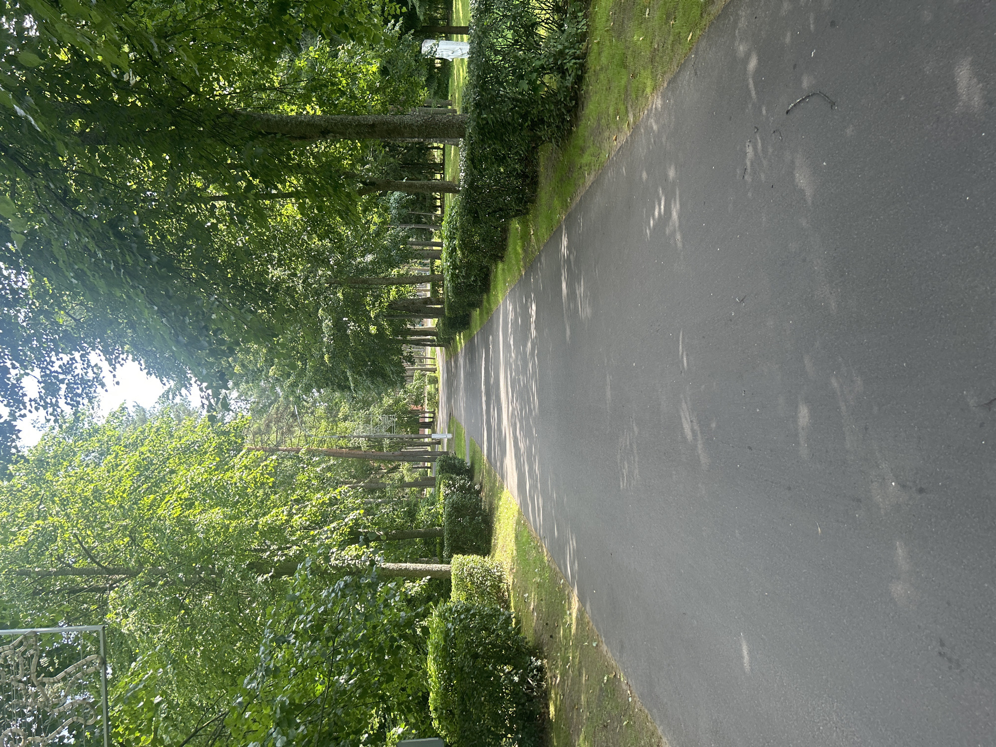 The image depicts a straight asphalt pathway bordered by meticulously trimmed green hedges and tall trees with lush foliage. The pathway extends into the distance, flanked by grassy areas on either side. Sunlight filters through the leaves, casting dappled shadows on the ground. In the background, more trees and a glimpse of a white structure, possibly a statue, are visible. The overall scene suggests a well-maintained park or a tree-lined avenue in a tranquil setting. This location is identified as a park in the city of Smolyachkovo, Russia. There are no people or animals visible in the image, and no specific actions or interactions are depicted. The environment is characterized by abundant greenery and a clear, sunny day.