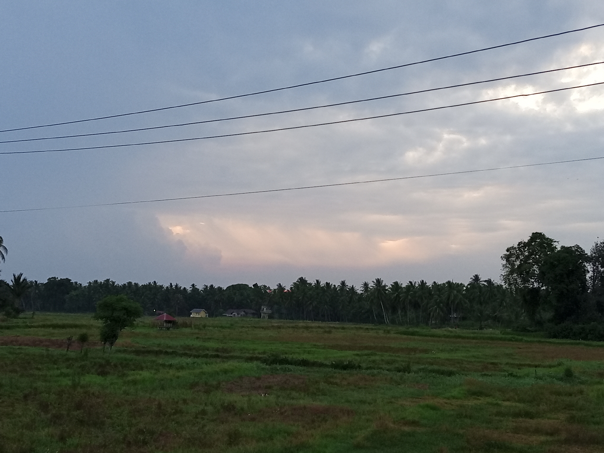 The image depicts a rural landscape with a field in the foreground and a dense line of trees in the background. The sky is overcast with streaks of light, suggesting either sunrise or sunset. Three power lines stretch across the upper portion of the frame. In the middle ground, a small red-roofed structure and a yellow building are visible amongst the trees, along with scattered smaller trees and a single, larger tree in the center of the field. The overall impression is of a serene, undeveloped area. This scene is not identifiable as being in the city of Cotjrat, Indonesia.