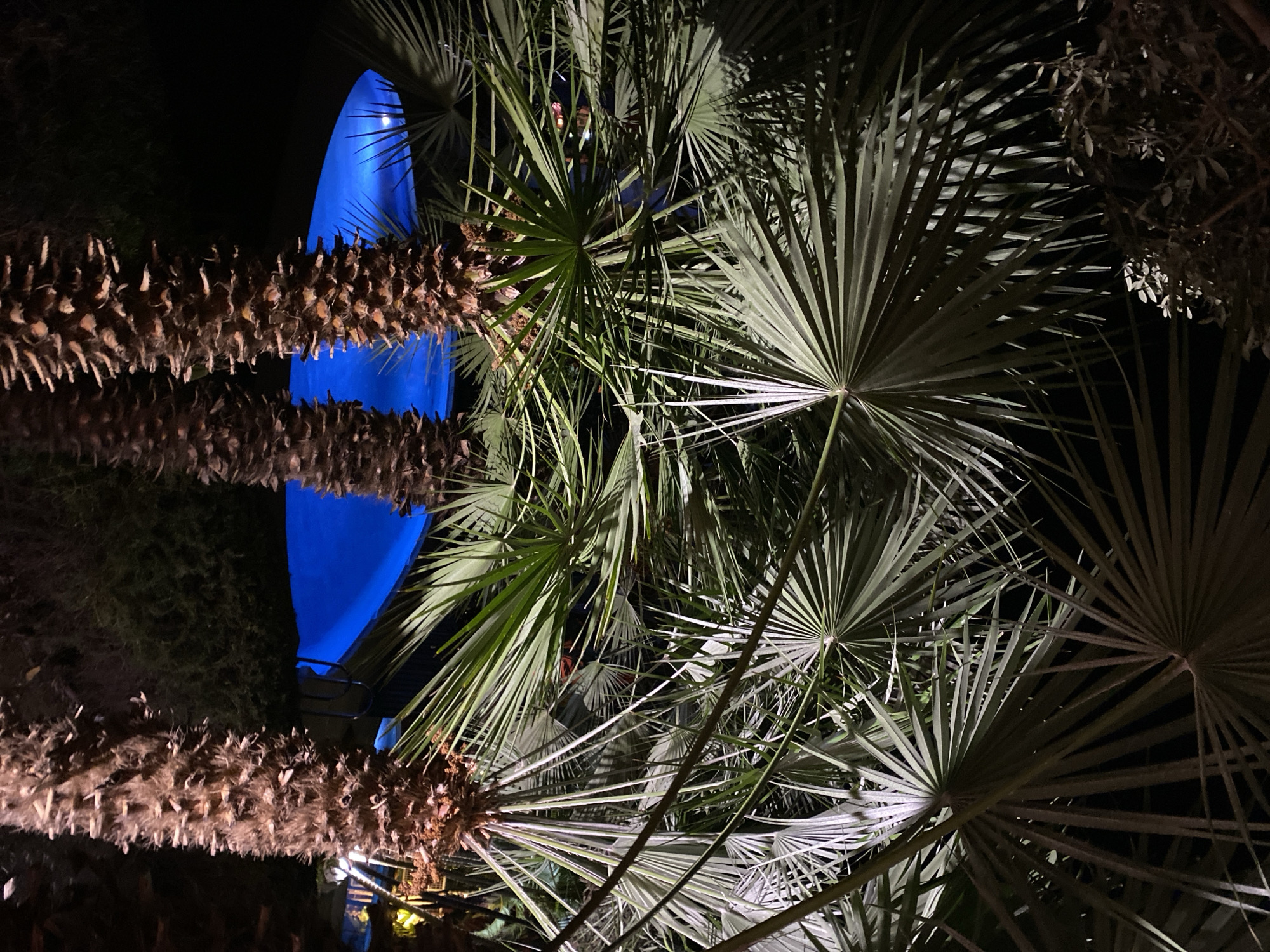 In Resinera-voladilla, Spain, an outdoor swimming pool is illuminated at night, surrounded by palm trees. The pool, with its vivid blue water, is the central focus, reflecting a soft light. Palm fronds, lit from below, create a dramatic canopy overhead, with their distinctive fan shapes starkly silhouetted against the dark sky. The trunks of the palm trees are textured and weathered, adding a natural, rustic element to the scene. The overall impression is one of a tropical oasis, tranquil and inviting, even in the darkness.