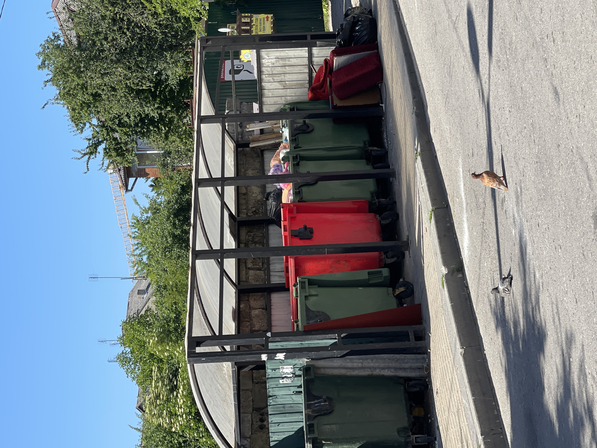 This media file depicts an outdoor scene in Zelenogradsk, Russia, on a bright, sunny day, likely in the late morning or early afternoon given the strong shadows. The primary subjects are a row of large green and red trash bins housed within a covered, open-sided structure. The structure has a metal frame and a translucent, curved roof.
The trash bins are full, with some overflowing, suggesting recent waste disposal. Several black trash bags are also visible. In the background, behind the bins, are sections of a metal fence and what appears to be a building with some stone elements. To the left of the bins, dense green foliage from trees and bushes obscures the view of surrounding buildings, though a yellow construction crane is visible in the far distance.
A single bird, possibly a pigeon, is the only visible living creature apart from a hint of a person (a hand and arm) interacting with a bin inside the shelter. The bird stands on the asphalt road, casting a distinct shadow. The road curves away from the bins and is bordered by a sidewalk.
Some visible text includes a sign on the back wall of the bin shelter with a camera icon and Cyrillic lettering. Another sign with Cyrillic text and an arrow is mounted on the green fence in the background. The overall impression is a common urban or suburban scene focusing on waste management facilities on a clear day. The mood is neutral, purely observational.