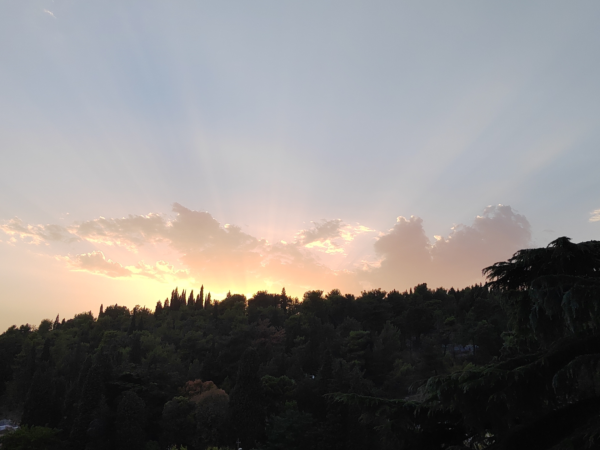 The image captures a sunset over a densely forested hill in Podgorica, Montenegro. The sky is a soft gradient of light blue and pale orange, with scattered clouds illuminated by the setting sun. Rays of light emanate from behind the clouds, creating a dramatic effect. The hilltop is covered in a variety of trees, some tall and slender, others broad and leafy, forming a dark, textured silhouette against the colorful sky. In the foreground, the branches of a large evergreen tree are visible on the right, adding depth to the scene. The overall impression is one of natural beauty and tranquility at the end of the day.
