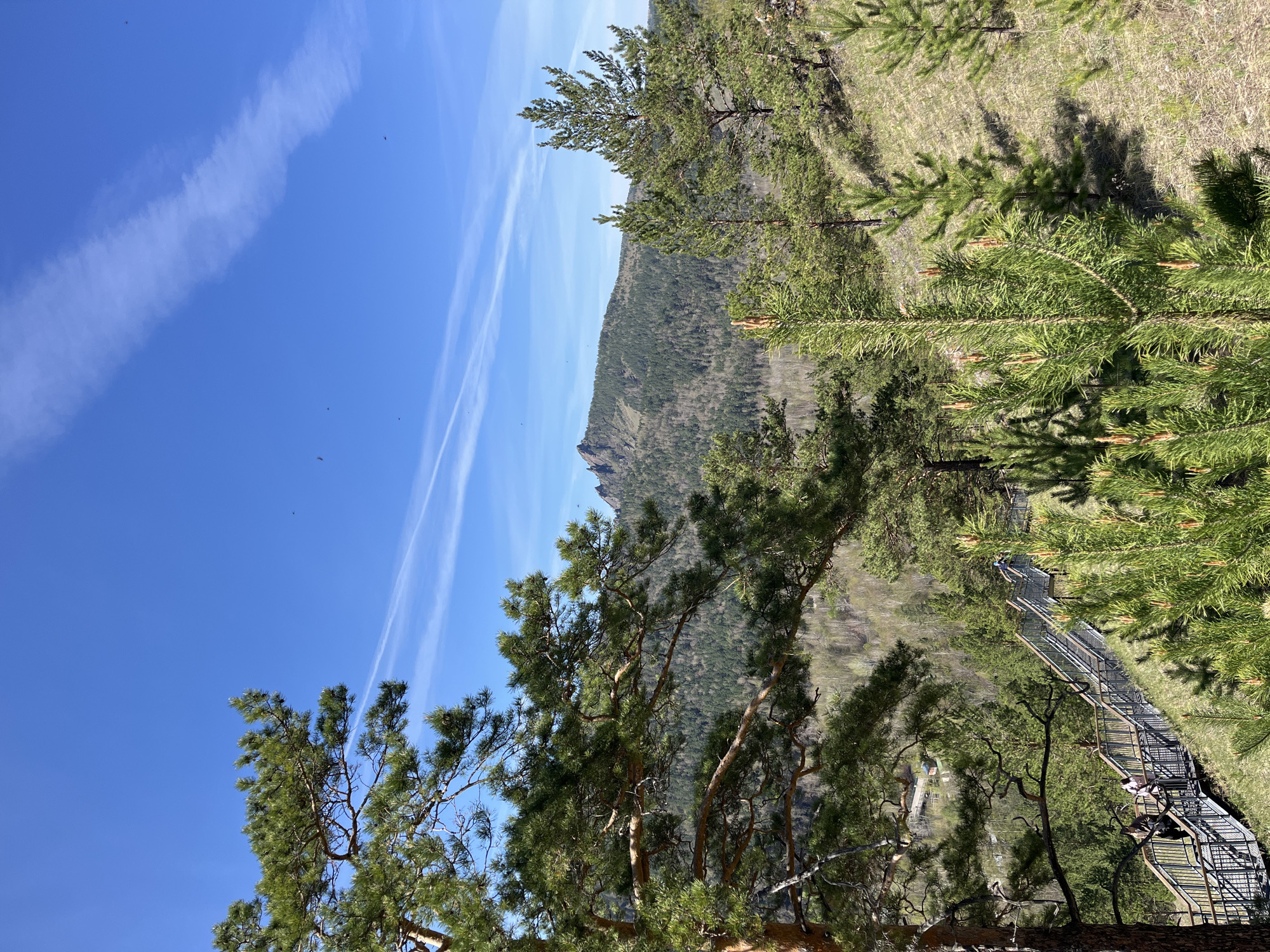 The image shows a landscape in Krasnoyarsk, Russia. In the background is a mountain range covered with forest. In the foreground are pine trees with green needles and brown branches. A metal staircase with railings winds through the trees, and people are walking on the staircase. The sky is blue with white contrails. The overall environment appears natural and scenic.