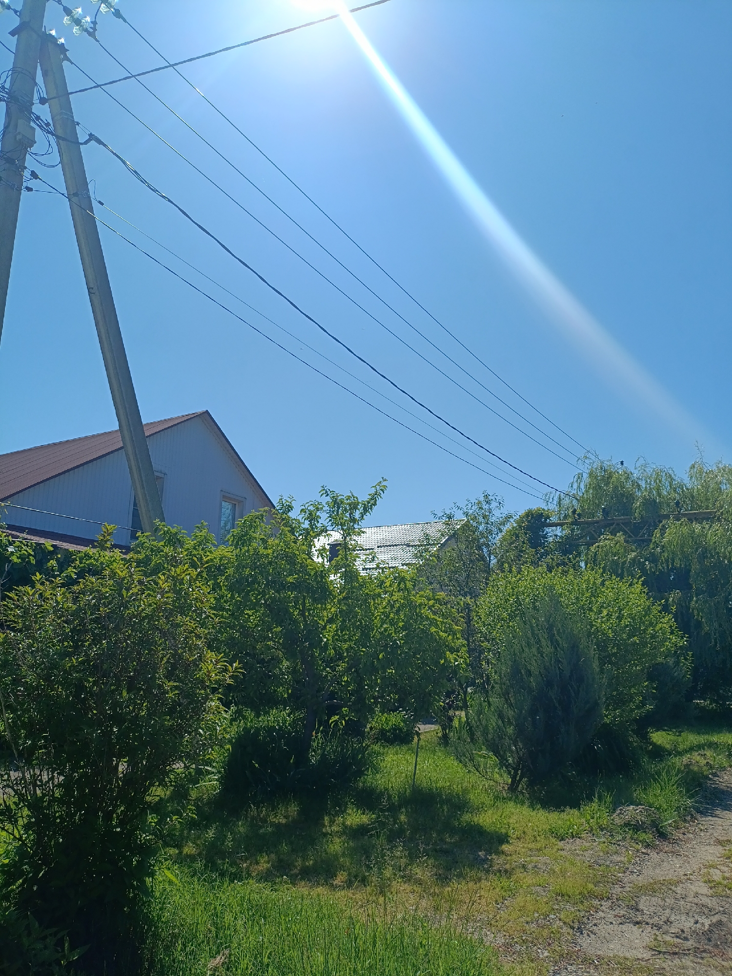 This vertical image captures a bright, sunny outdoor scene in Goryachiy Klyuch, Russia, characterized by a clear blue sky and abundant green foliage. The sun, high in the upper right of the frame, creates a prominent lens flare, indicating a clear day, likely midday or early afternoon.
To the left, a sturdy wooden utility pole rises, featuring multiple insulators and numerous power lines that stretch horizontally across the upper portion of the scene. Beyond the utility lines and partially obscured by lush greenery, parts of at least two residential buildings are visible. One house, situated to the left, has light-colored siding and a dark, possibly brown, sloped roof with visible gables and a window. Another building with a lighter-colored roof is partially seen further back on the right, amidst trees.
The midground and foreground are dominated by diverse green vegetation, including dense bushes and various trees, some with drooping branches resembling willows. The ground consists of vibrant green grass in the foreground and a dusty, light-colored dirt path or road on the right side of the image. The scene is static, devoid of any visible human activity or text, conveying a peaceful and natural ambiance.