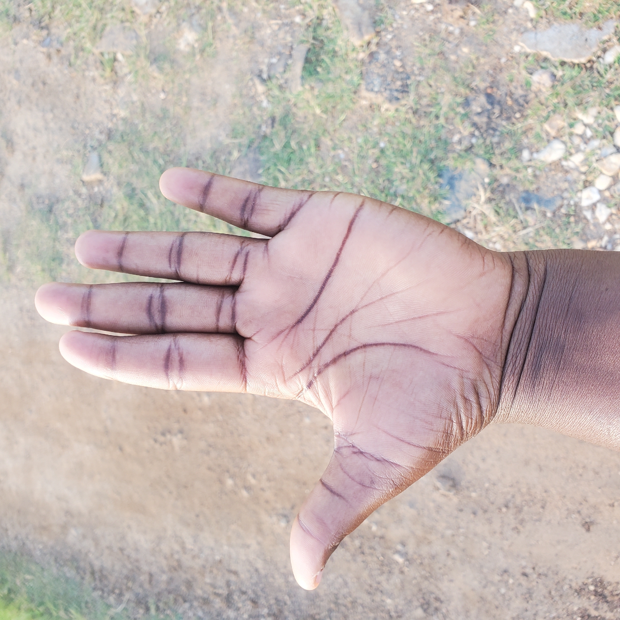 An elevated, close-up shot shows the palm of a dark-skinned person's left hand, held open and facing the camera. The hand is positioned slightly off-center to the left, with the fingers extended upwards and slightly splayed. The skin of the palm is textured, with visible lines and creases. The background is a blurred, outdoor environment, featuring a dirt path and patches of sparse green grass and small stones. The lighting suggests it is daytime, with sunlight casting subtle shadows. The overall impression is one of a casual, informal moment captured outdoors, likely in a rural or undeveloped area, such as Rinjim Gani, Nigeria.